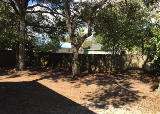 SUMMER TREE - Residential