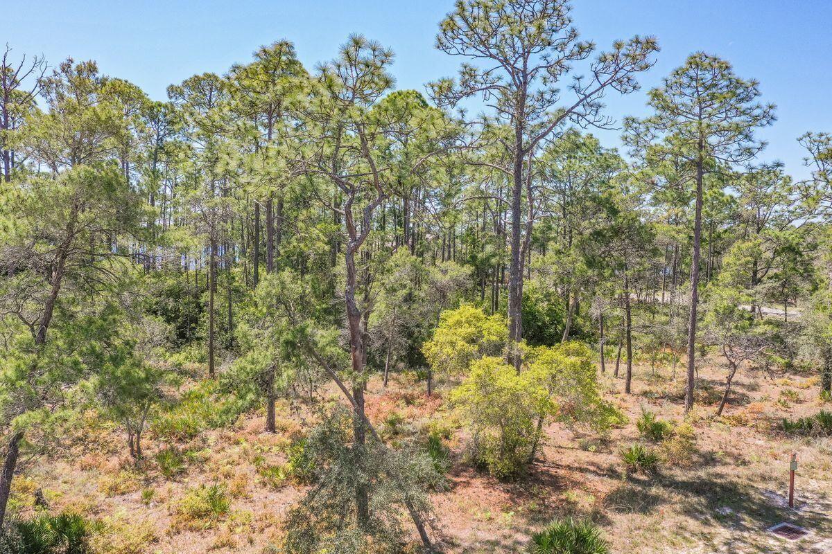 WILD HERON PHASE II - Land