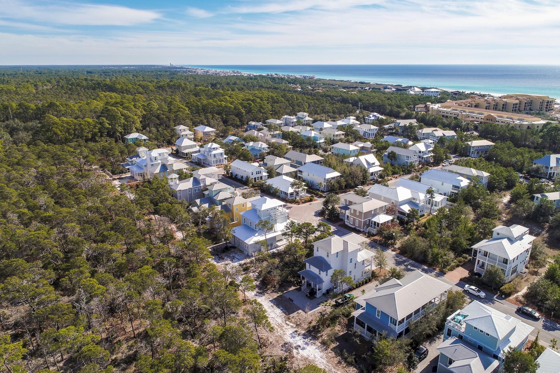 THE PRESERVE AT GRAYTON BEACH - Residential