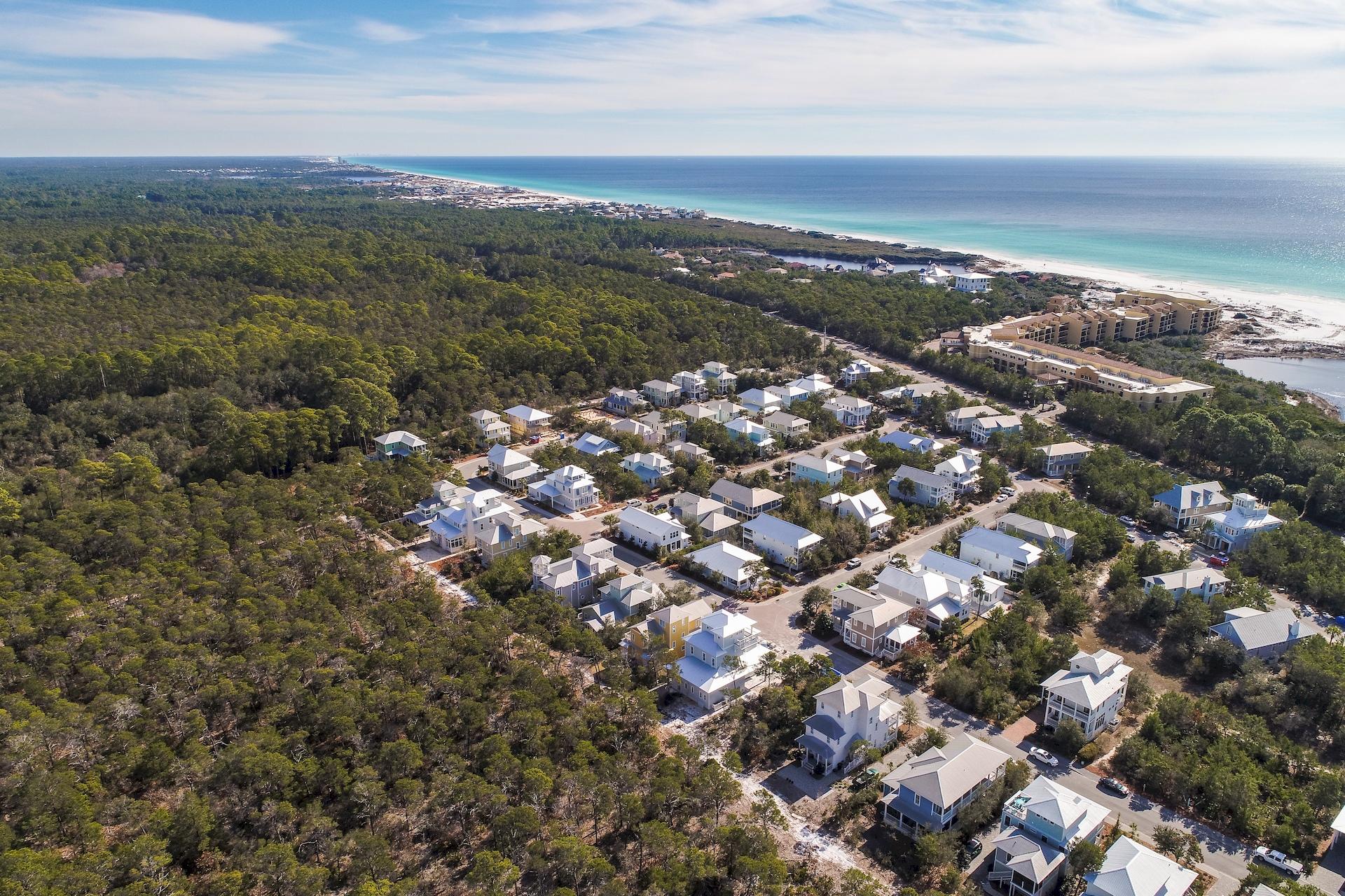 THE PRESERVE AT GRAYTON BEACH - Residential