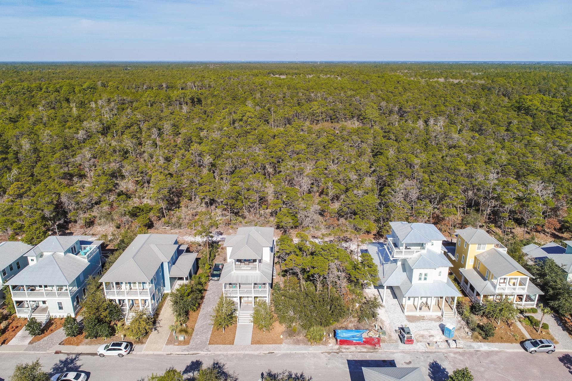 THE PRESERVE AT GRAYTON BEACH - Residential