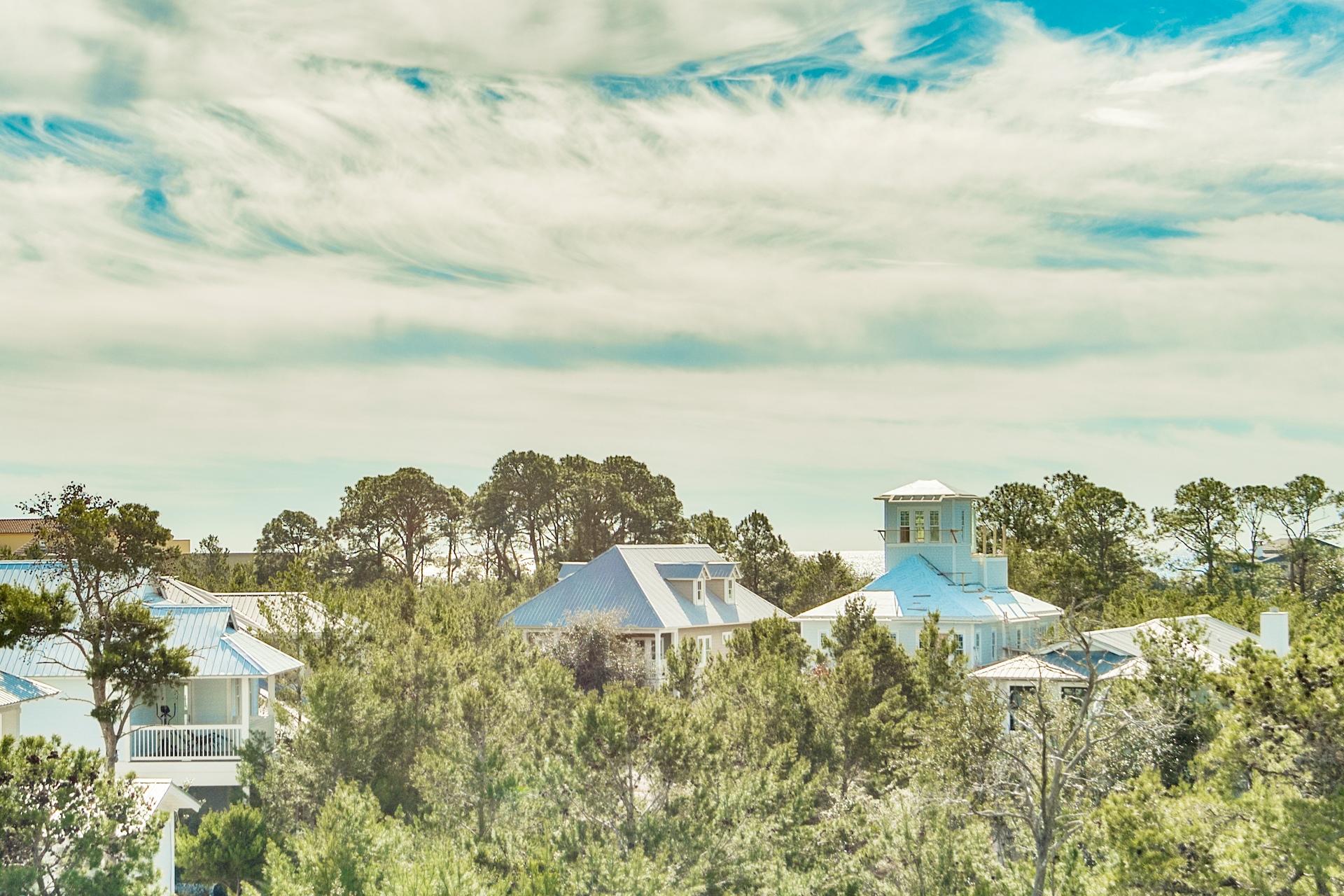THE PRESERVE AT GRAYTON BEACH - Residential