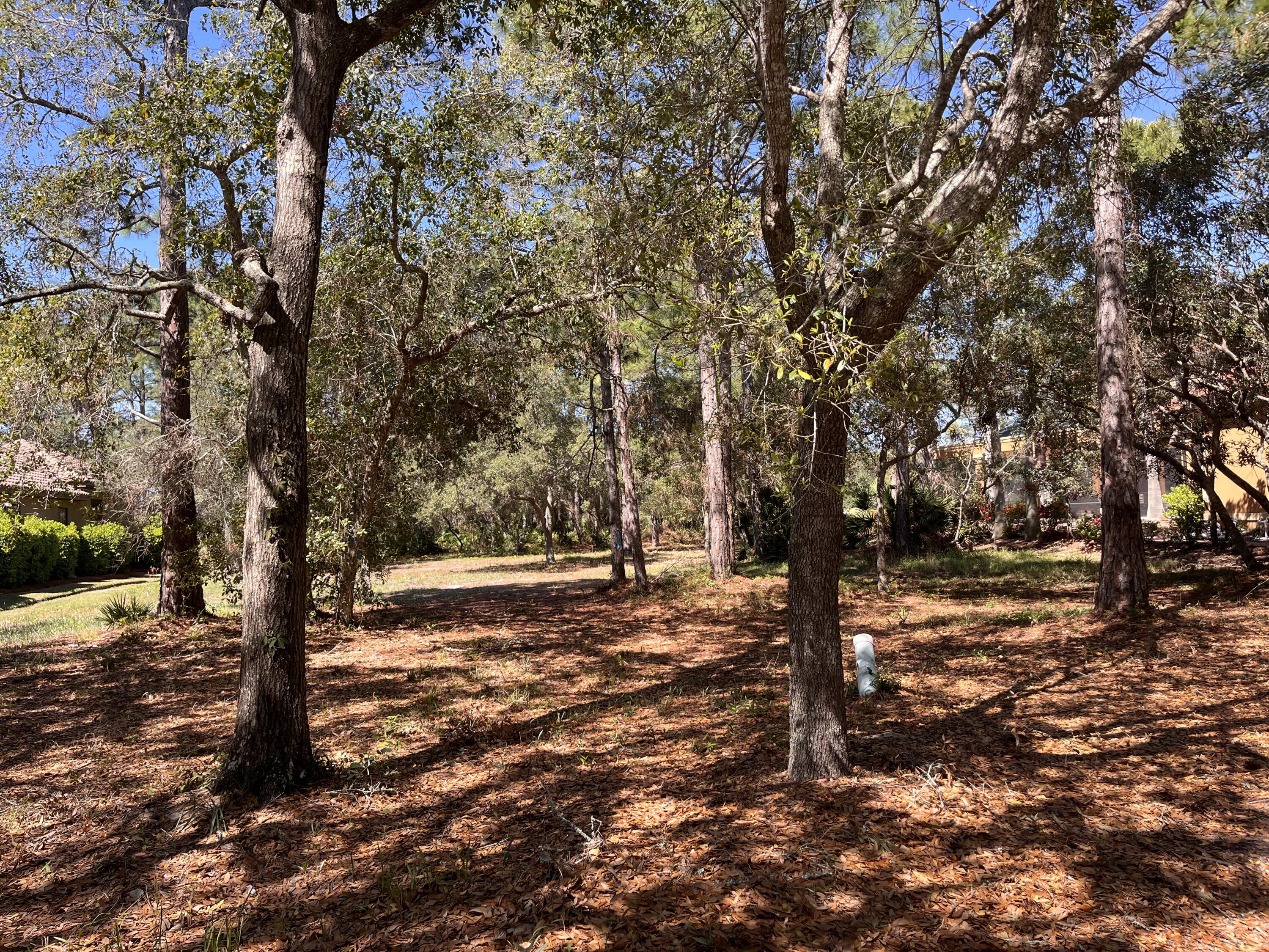 Build your dream home on this exceptional home site located on the 2nd Green in the Burnt Pine community. This spacious lot offers the perfect opportunity to create a custom residence in one of the Emerald Coast's most sought-after gated neighborhoods.Nestled among lush landscaping and elegant estate homes, this private and serene setting provides easy access to world-class amenities, including championship golf courses, a private marina, tennis courts, and miles of scenic walking and biking trails. Sandestin's vibrant Village of Baytowne Wharf, with its shopping, dining, and entertainment options, is just minutes away. Plus, you'll enjoy access to the stunning sugar-white beaches and emerald waters of the Gulf of Mexico.
With no build-out time requirements, you have the flexibility to design and construct your ideal retreat at your own pace. Don't miss this rare opportunity to own a piece of paradise in Burnt Pine!
This lot feels like your own private retreat with it's private street access in the Neighborhood
Contact us today for more details!