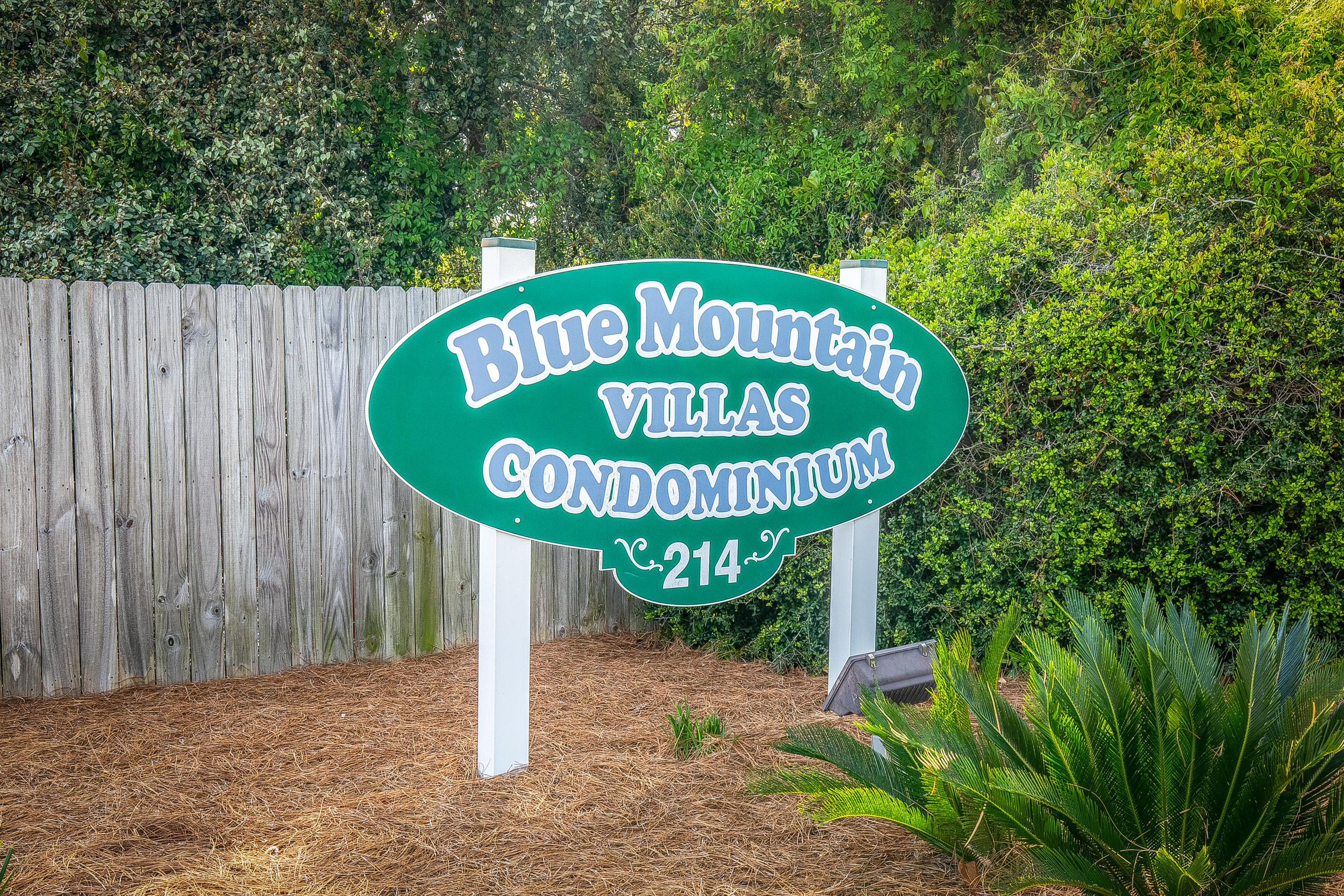 BLUE MOUNTAIN VILLAS CONDO - Residential