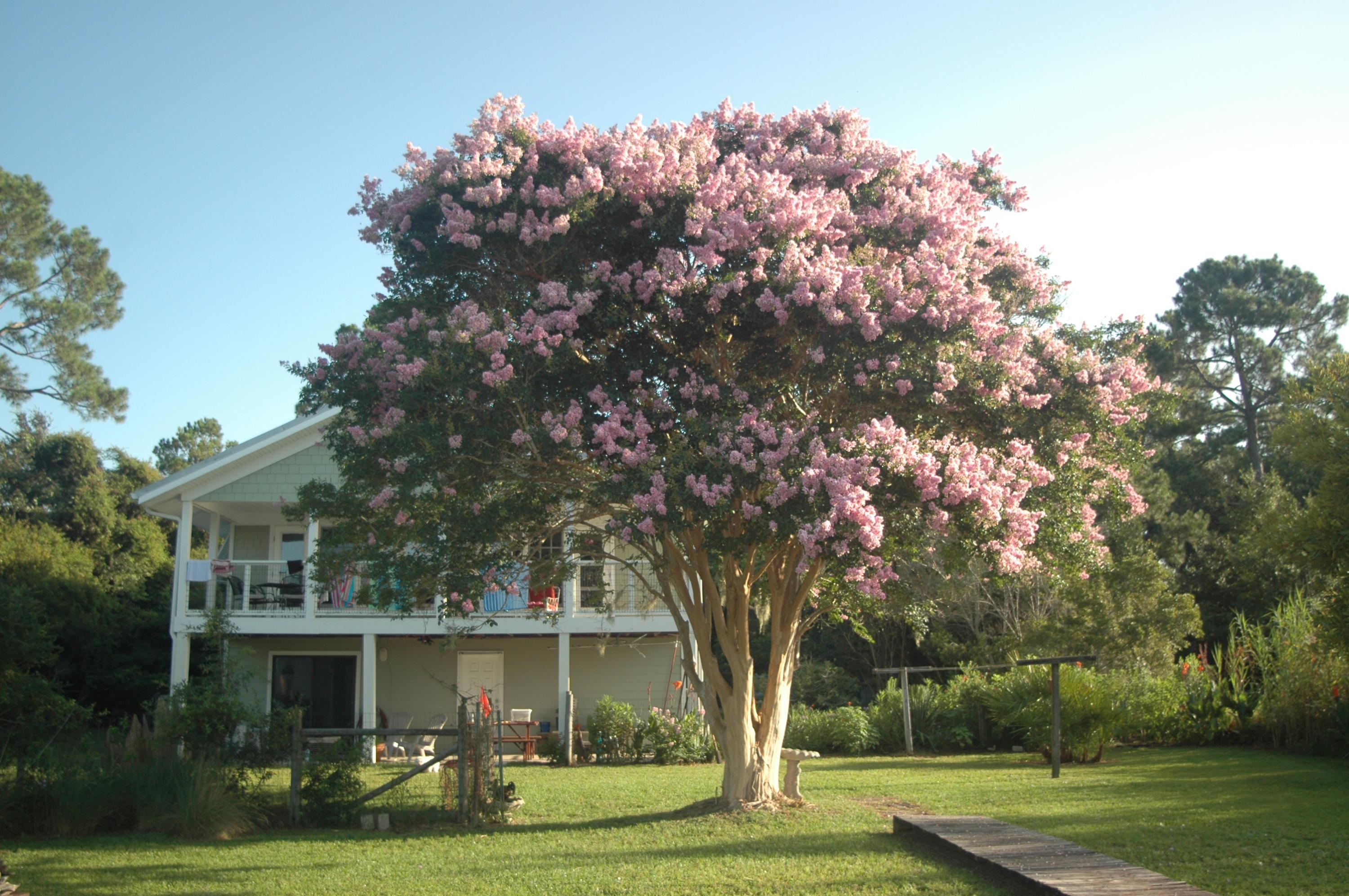 TWIN OAKS 1ST ADDN - Residential