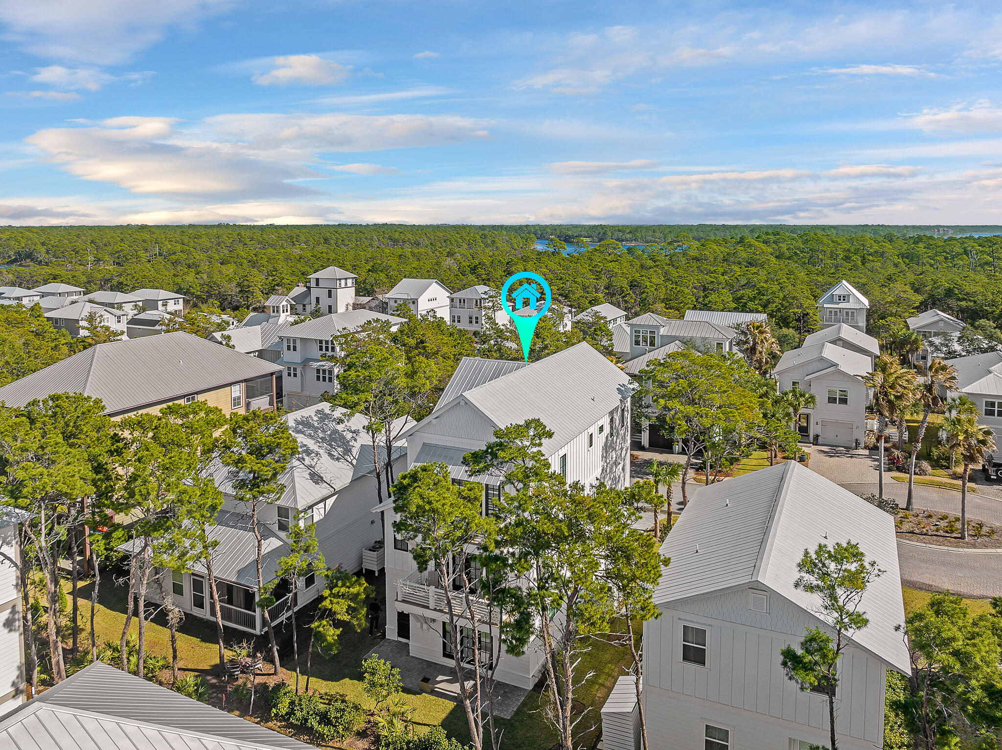 GRANDE POINTE AT INLET BEACH - Residential