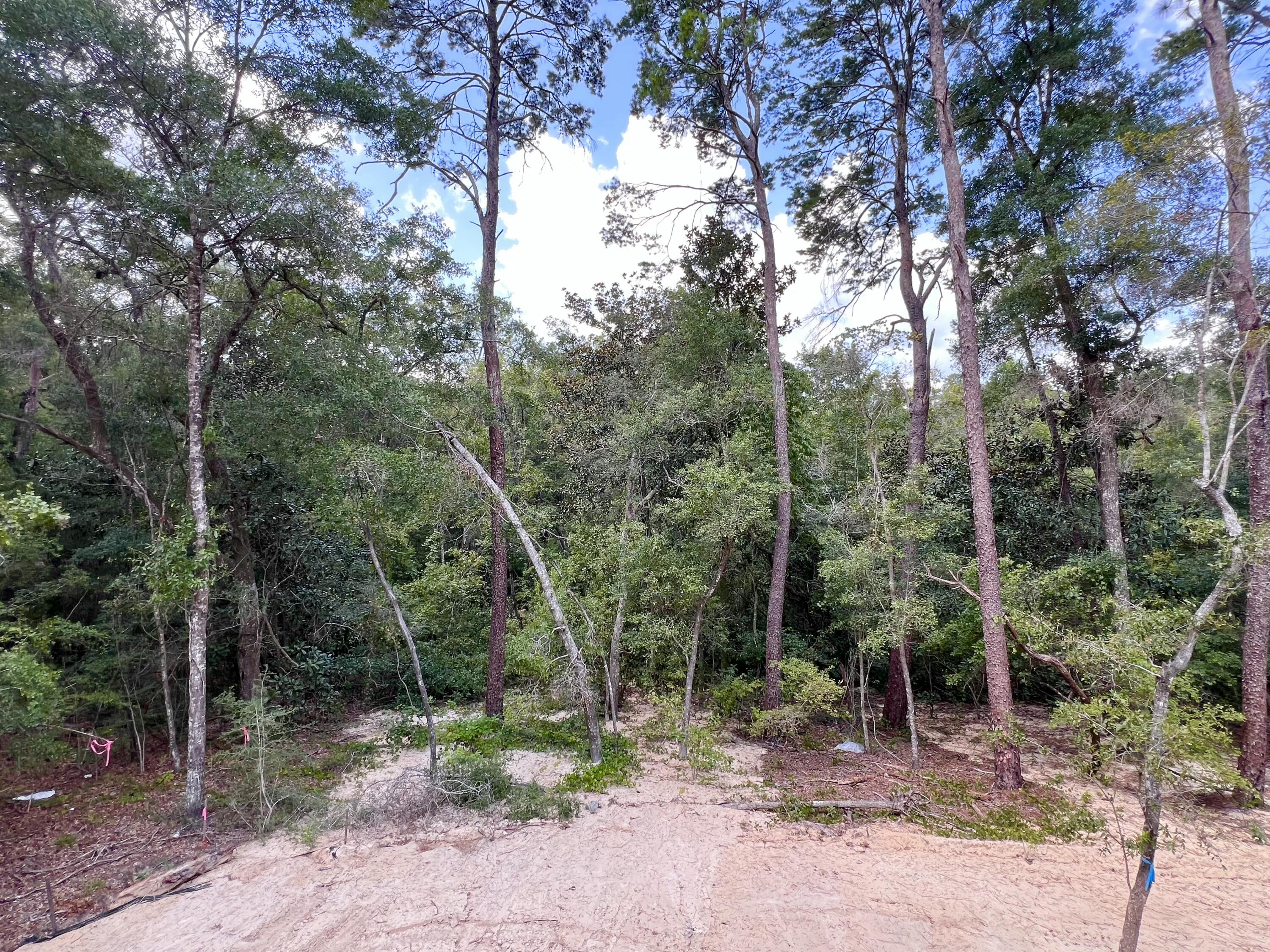 DEER MOSS CREEK - Residential