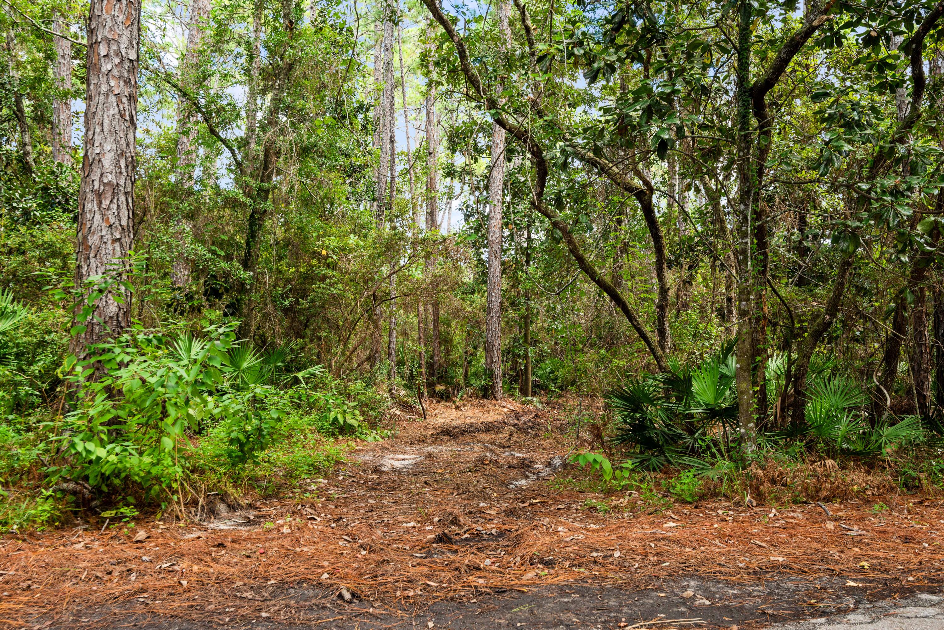 EDEN BAY ESTATES - Land
