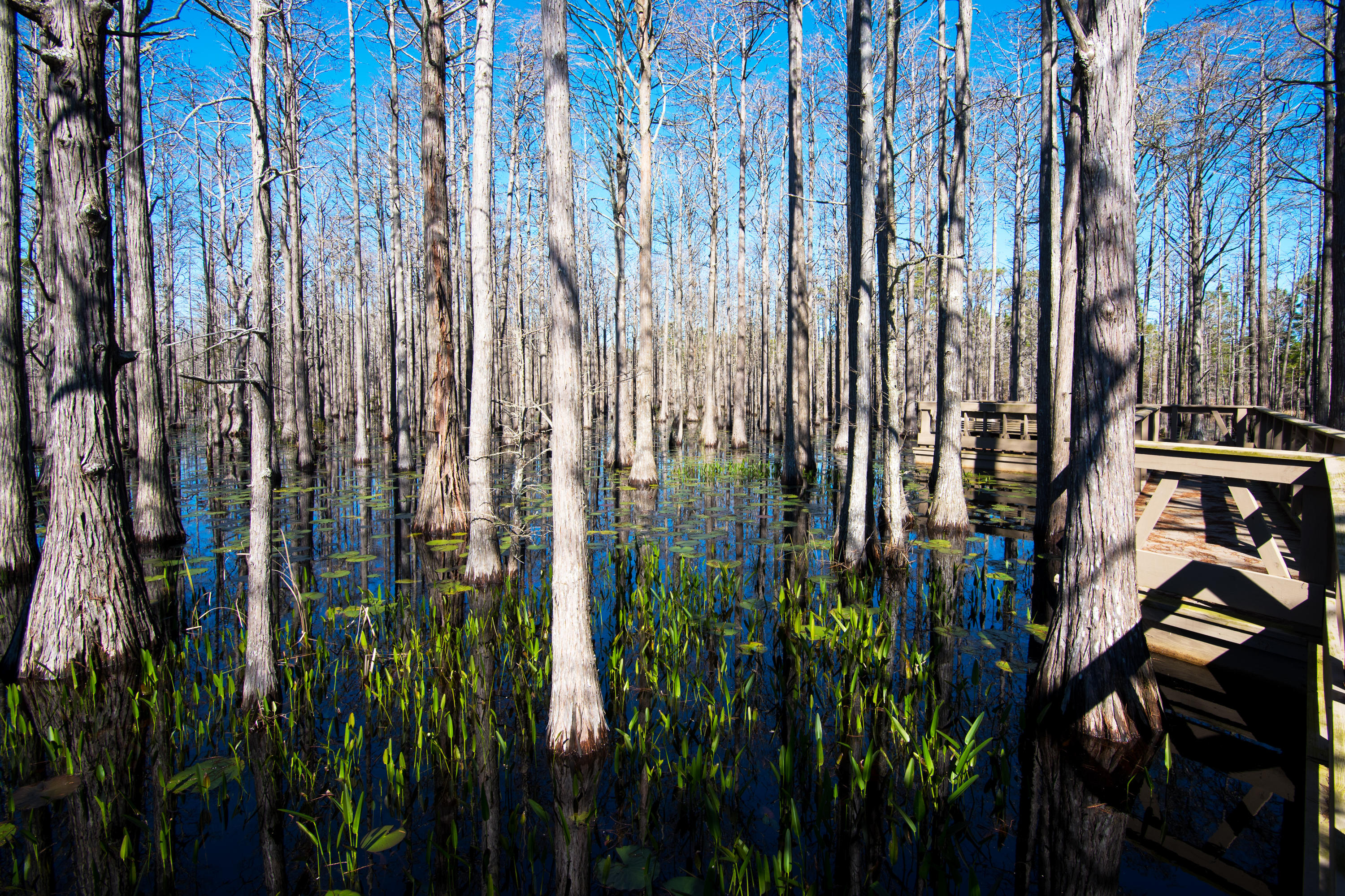 CYPRESS DUNES - Land