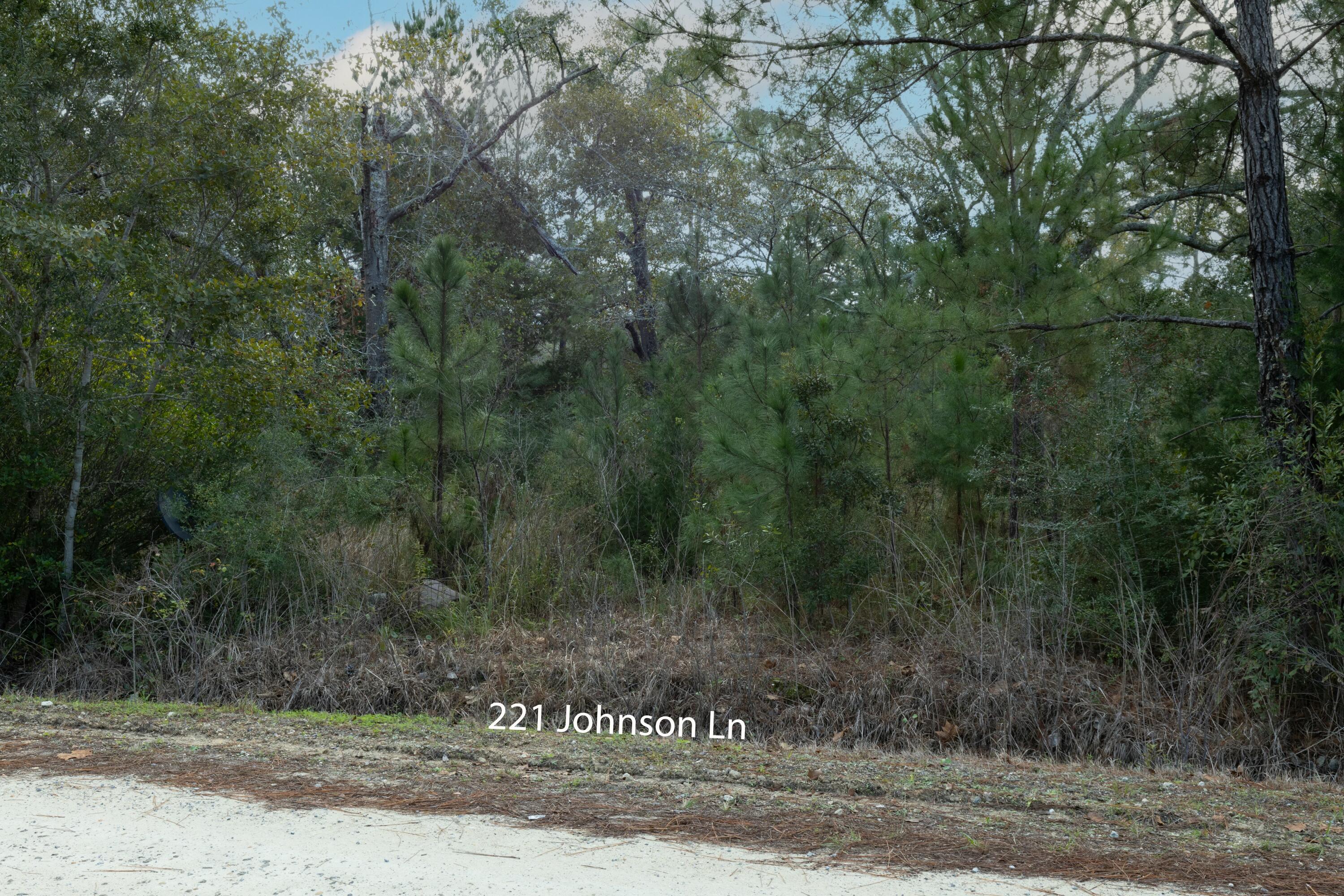 NO HOA or RESTRICTIONS!!!  Mobile Home allowed.  This beautifully wooded lot of approx .202 acres is located across the street from Choctawhatchee Bay on county grade road (Johnson Lane Freeport).  Opportunity awaits you to claim this prime parcel of land.Zoned Rural Village. NO FLOOD insurance required and No Wetlands per GIS mapping.  Please note property appraiser lines do not appear to be accurate.  Buyer survey is highly recommended to confirm property lines.Easy access to Hwy 331 bridge with NO TOLLS. Conveniently located approx. 5 miles from Hwy 98 with easy access between Destin and Panama City Beach.  Spend your weekends enjoying the endless array of outdoor activities and water sports, some including (fresh or salt water) fishing and convenient parks for hiking and exploring. Plenty of space for all your fun recreational toys! Multiple public boat ramps nearby!

Only 10 minutes to Publix grocery store and approximately 15-20 minutes from some of the most beautiful white sandy beaches on Florida's Emerald Gulf Coast. Take advantage of the close proximity to fabulous shopping and restaurants on 30A, and the World-famous Crab Island.

All Information and dimensions to be verified by the buyer. The buyer is responsible to verify with county and/or local resources to ensure they can do what they want to with the property.  Buyer responsible to verify existence of all utilities, if any.
