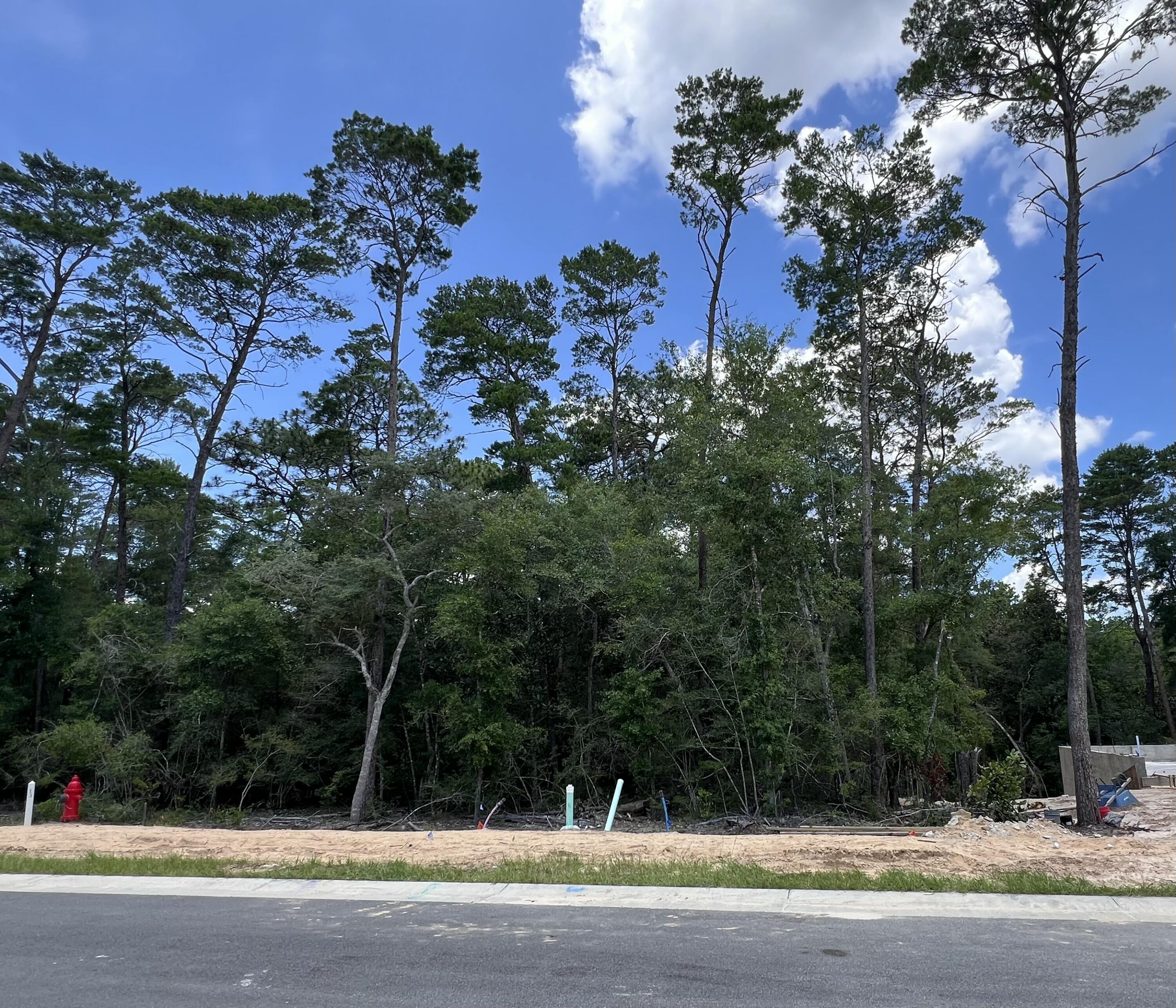 Beautiful lot in the desirable and new Deer Moss Creek Phase 11! Deer Moss Creek(r) is an 1,100- acre, master-planned, mixed-use community in Niceville, FL. Community plans include a nature trail, bike lanes, parks, pools, office and retail space. Sidewalks are 5' wide and home plans must be approved by the Town Architect. Build your dream home in the beautiful Deer Moss Creek community!