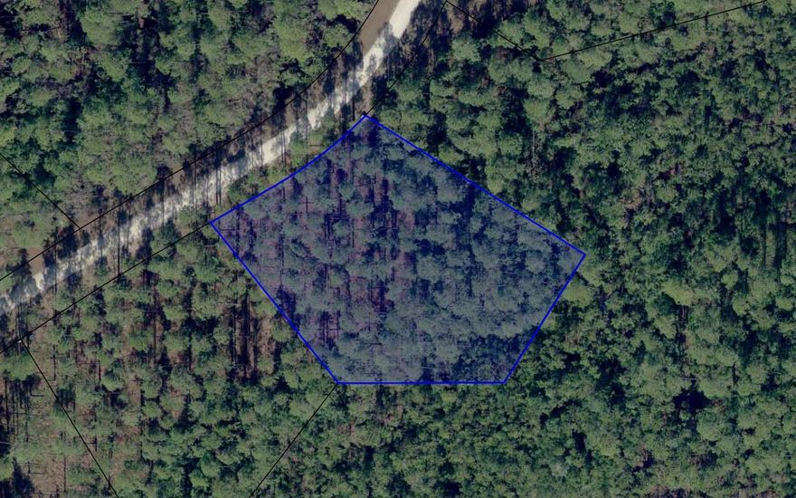 This beautiful Rivercamps 1 acre home site is near the end of a cul de sac street with conservation land (no lot) next to or behind. Come see now for the privacy you've been looking for. The community is located 5 mins from the Panama City Beach airport, 2 mins to boating/fishing and 10 minutes to the beach. The community has 1500 gated acres with a boat launch on crooked creek that leads to the Gulf of Mexico. Amenities include a Riverhouse with a catering kitchen, dining area and library. The waterfront pool area complete with grills for cooking out and a screened room is perfect for gatherings. Boat slips, 600 foot pier, a fitness center with bay views along with bikes, kayaks, paddle boards and camp ground for owner's and guest use make this a one of a kind community.