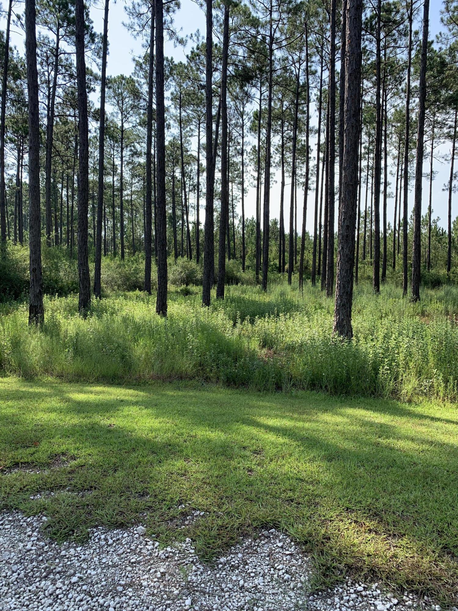 RIVERCAMPS ON CROOKED CREEK - Land