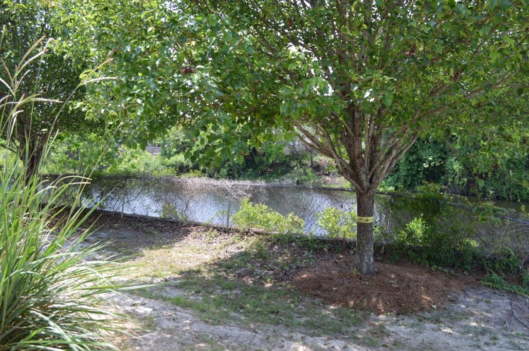 QUAIL LAKE - Residential