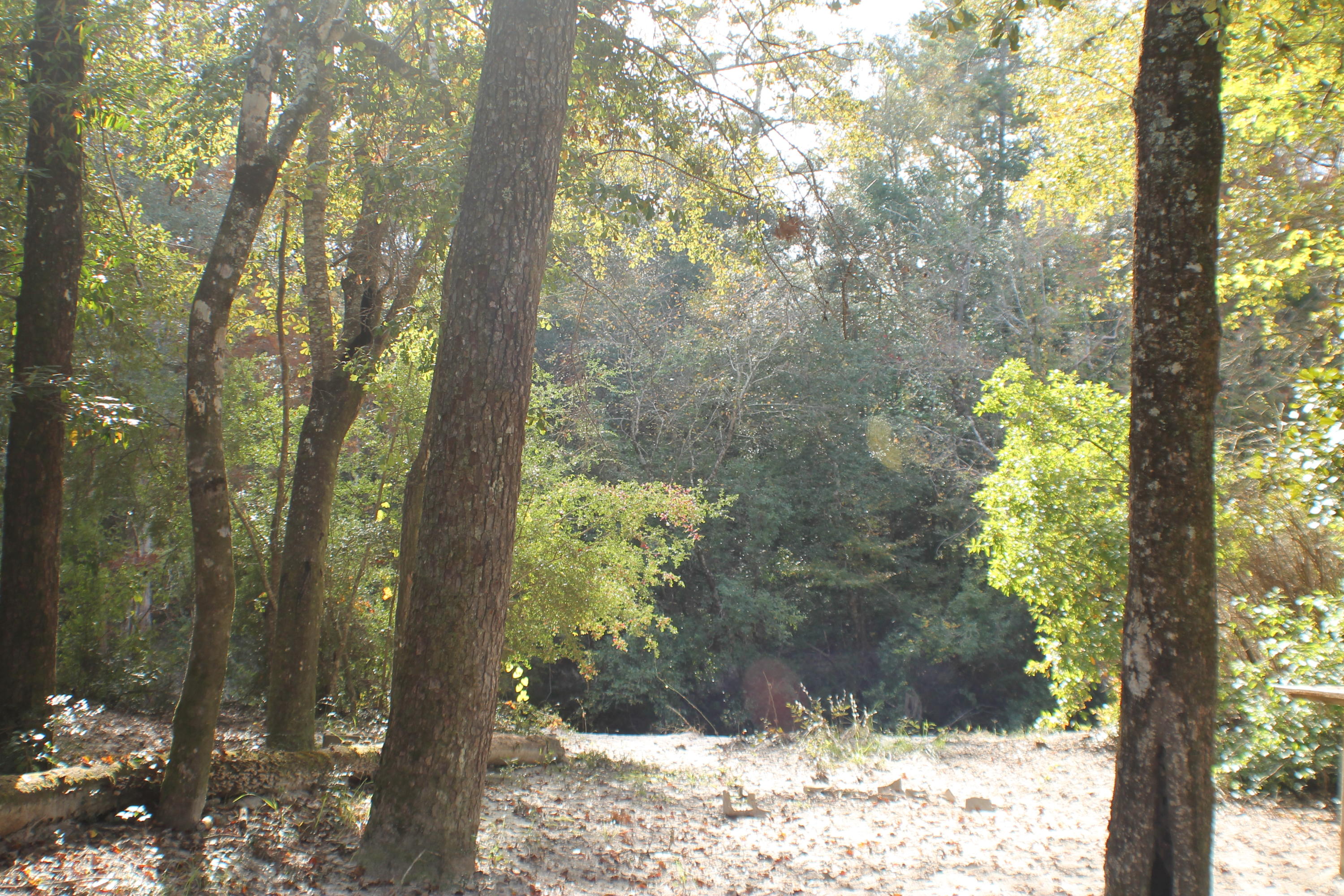 METES & BOUNDS - Farm