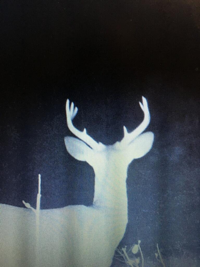 METES & BOUNDS - Farm