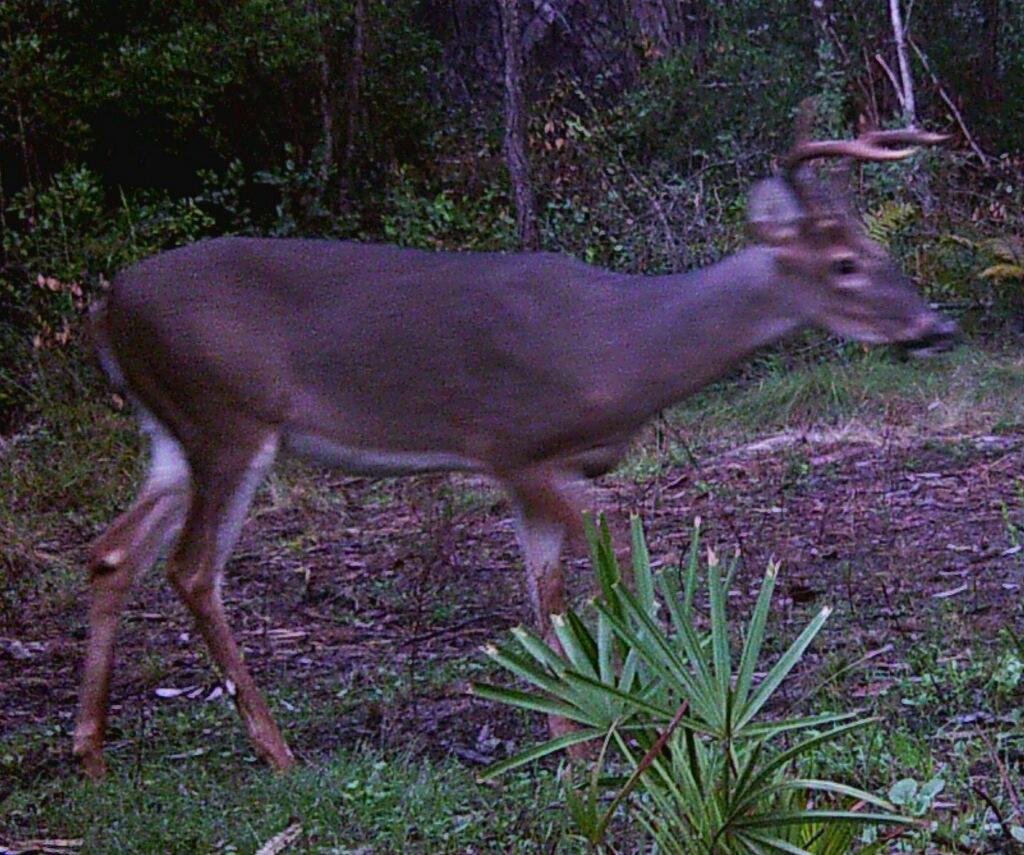 METES & BOUNDS - Farm