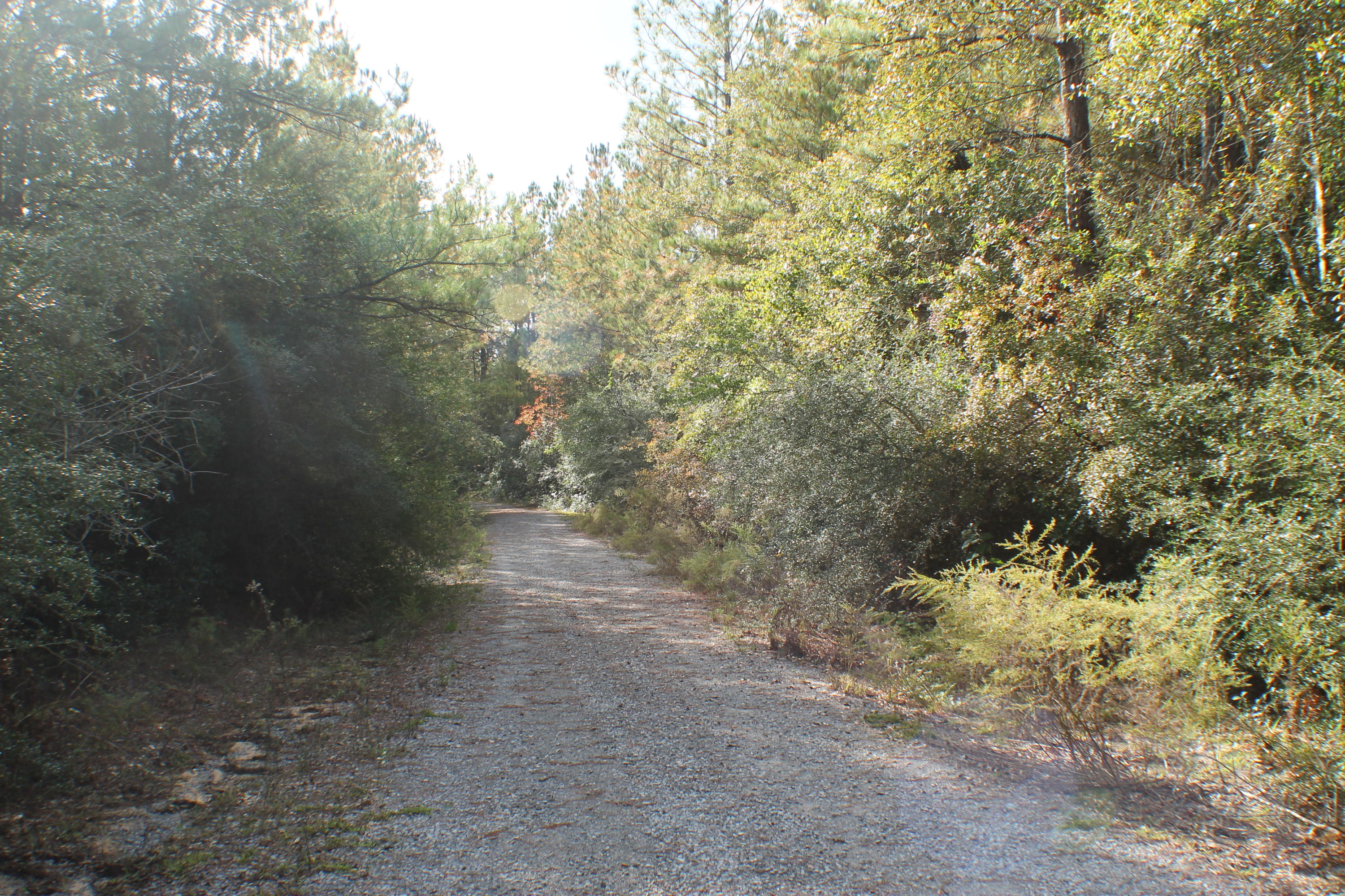 METES & BOUNDS - Farm