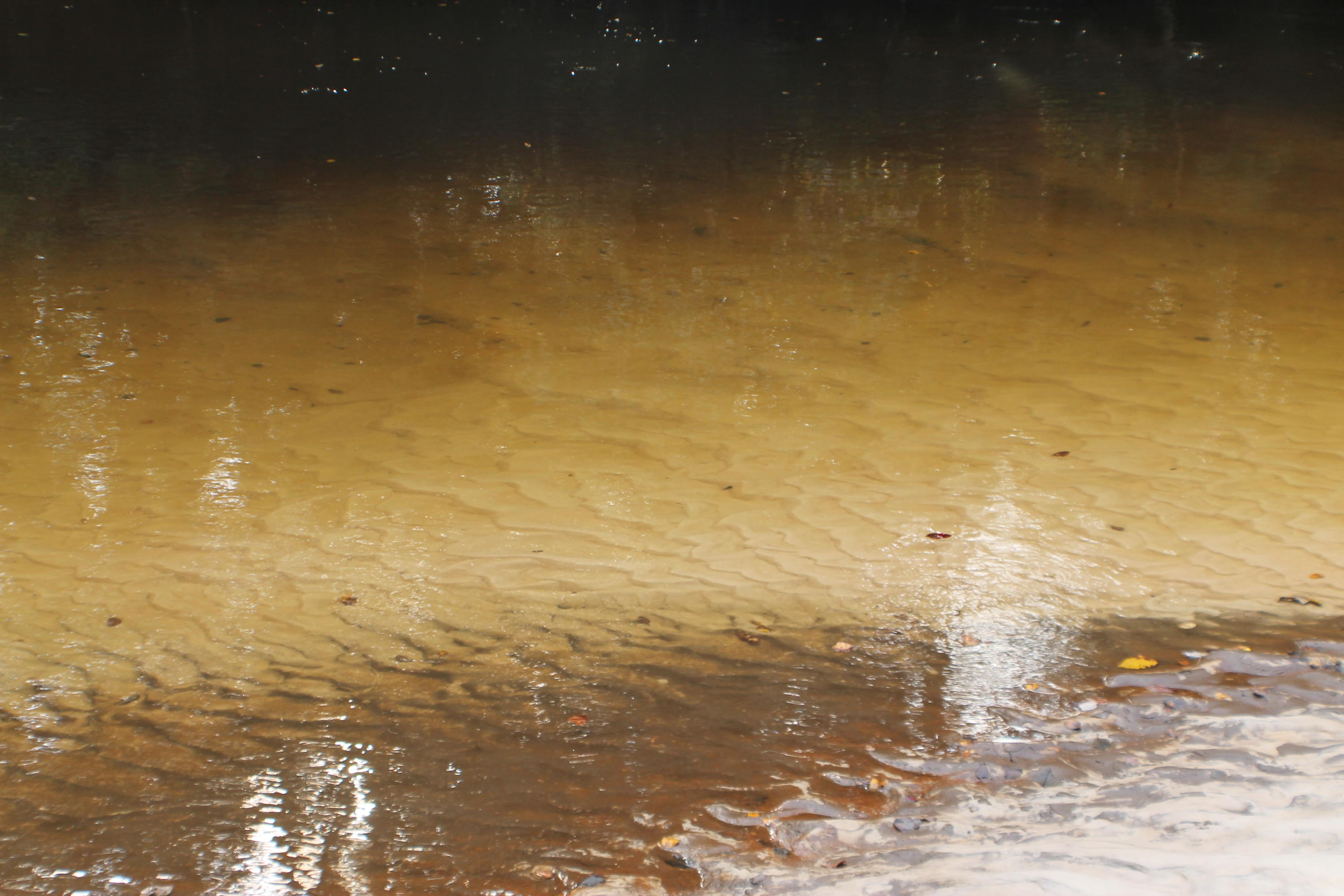 METES & BOUNDS - Farm