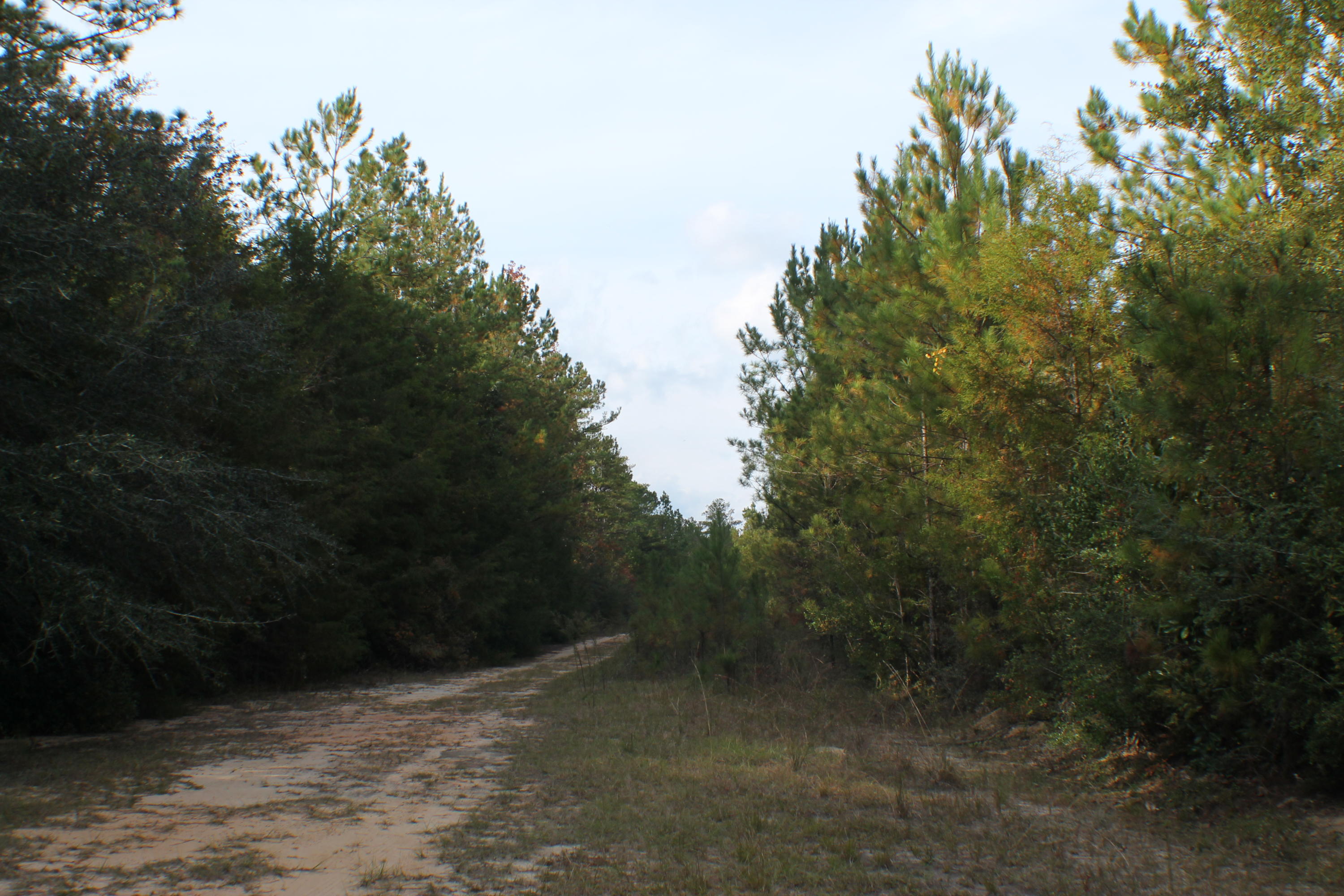 METES & BOUNDS - Farm