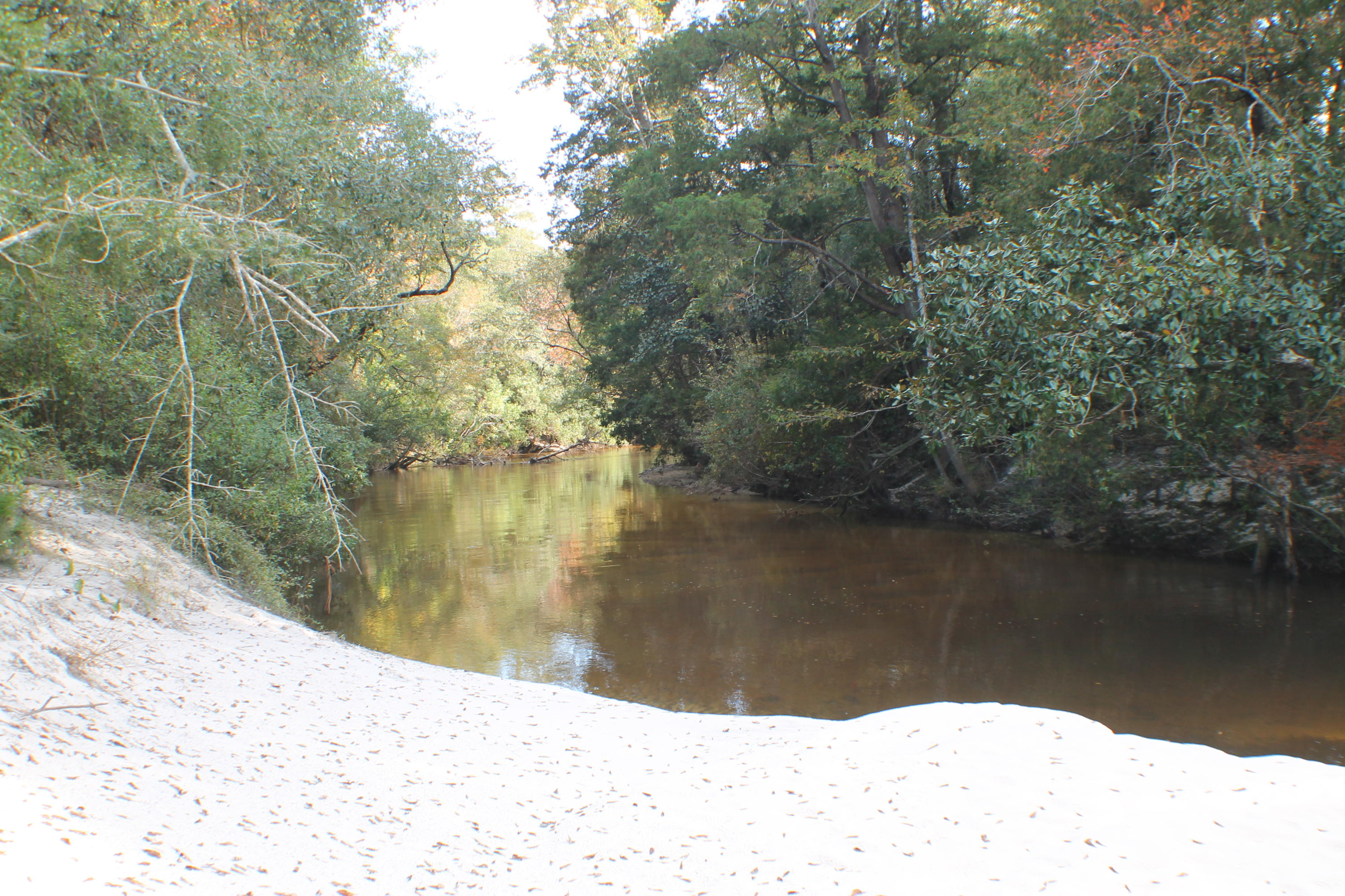 METES & BOUNDS - Farm