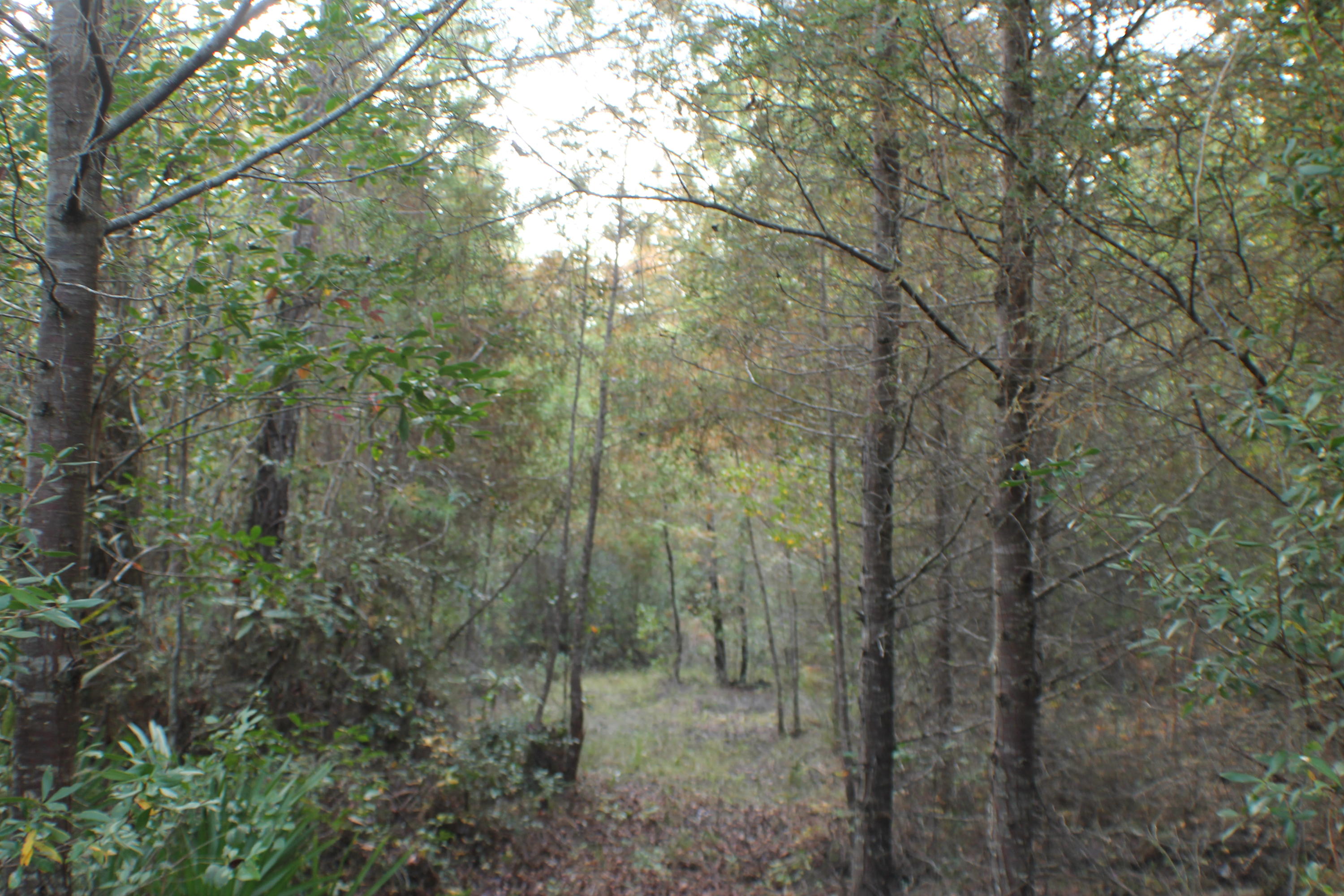 METES & BOUNDS - Farm