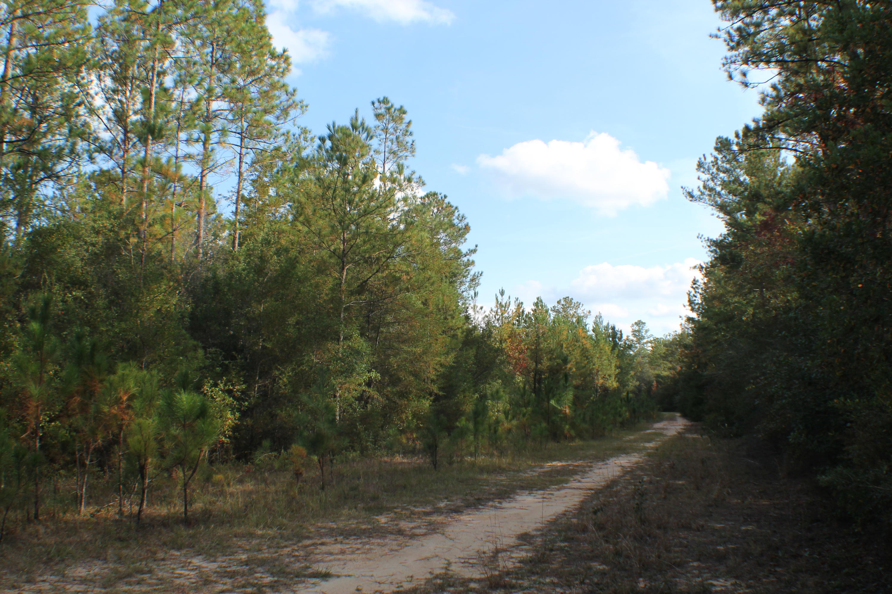 METES & BOUNDS - Farm