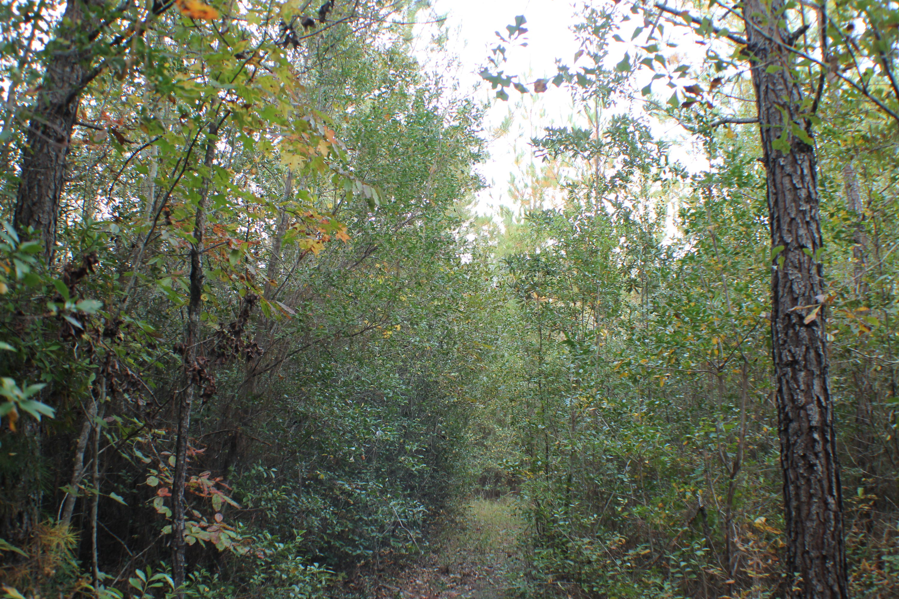 METES & BOUNDS - Farm