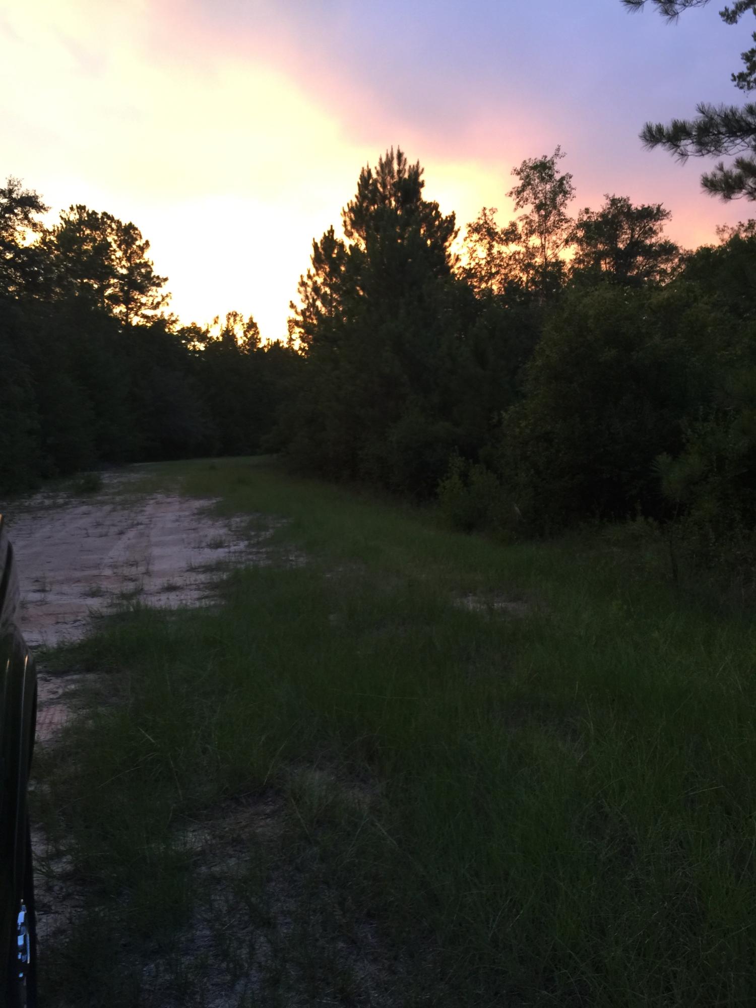 METES & BOUNDS - Farm