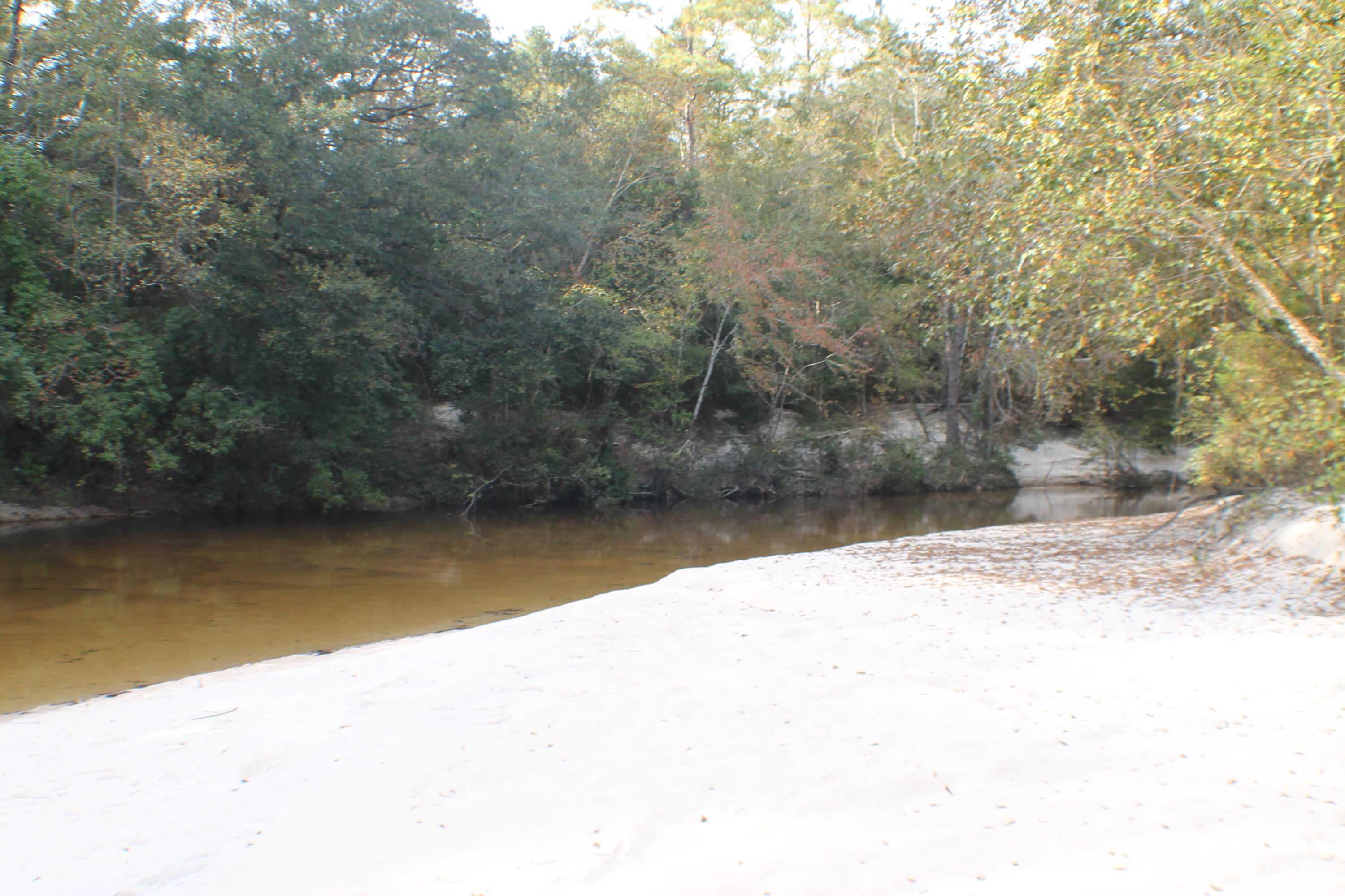 METES & BOUNDS - Farm