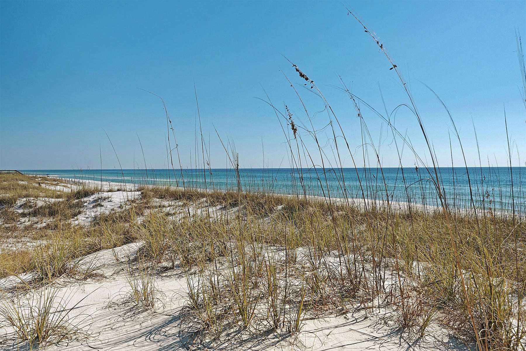 SEA DUNES ESTATES - Residential