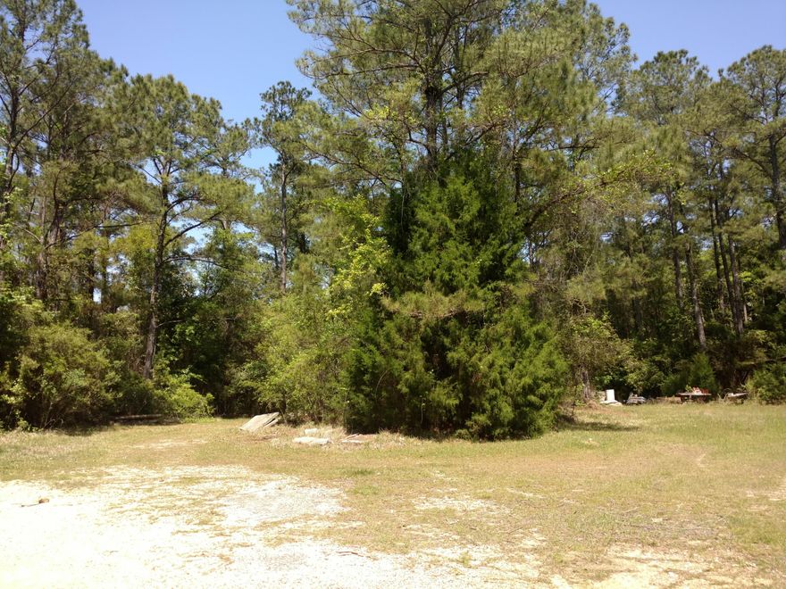 DRASTIC PRICE REDUCTION for STRATEGIC LOCATION and UNIQUE OPPORTUNITY! Approx. 1.5 Acres across from the Publix Shopping Center and just off Highway 331 on the east side. For decades, this property has been used as a business site. It is located within the City Limits of Freeport with a number of possibilities - apartments, multi-family residences, storage, office sites & more!. Property is level and partially cleared. Old building on-site is conveyed ''As-Is/Where-Is''. The main intersection in Freeport at Hwy 331 and Hwy 20 is the ''hub'' and growing with new businesses planned plus several under construction. Here is an Opportunity for the right business venture near the ''hub'' - Now is the Time!