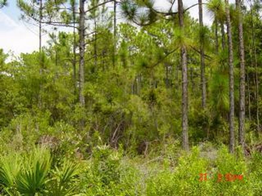 This is a beautiful wooded lot that is ideal for a small Florida Cottage and only one block off of Hwy 393, 5 minutes from Hogtown Bayou Park and boat launch and 10 minutes from Hwy 30A's gorgeous beaches and attractions. Buyer must check with county for septic tank approval.Real Estate Owner/Broker has ownership in property.