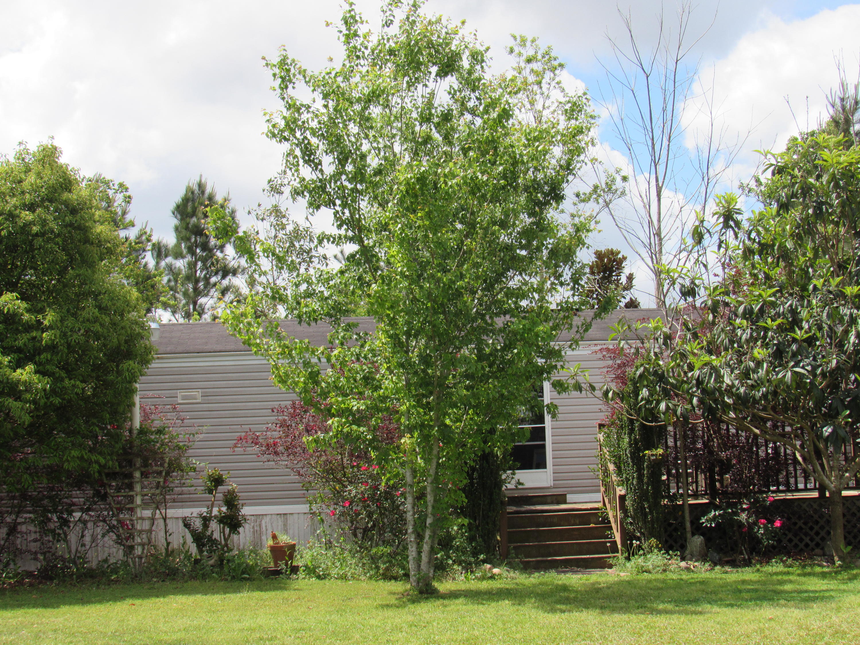 D.E. Murphy Addition of Town Plat of Glendale - Residential