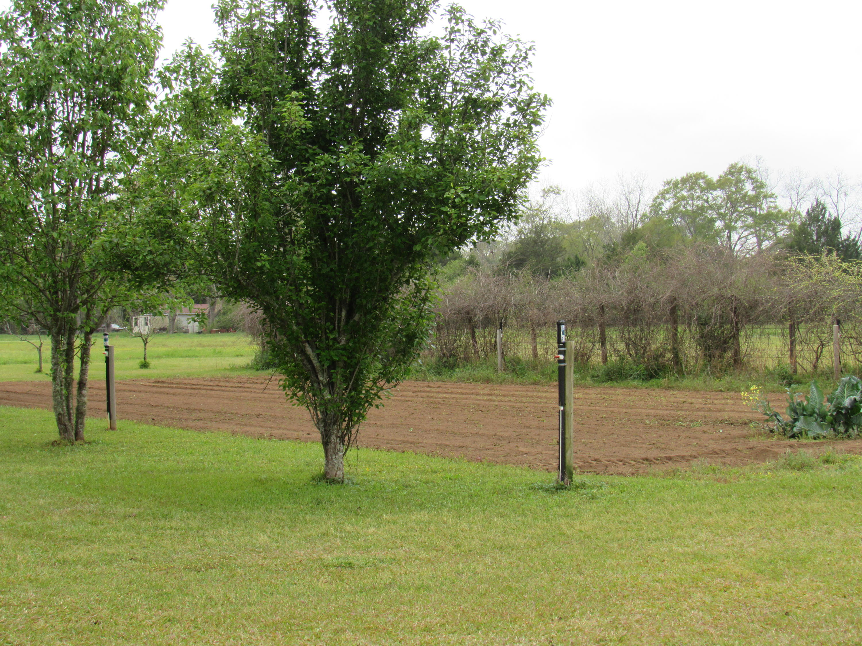D.E. Murphy Addition of Town Plat of Glendale - Residential