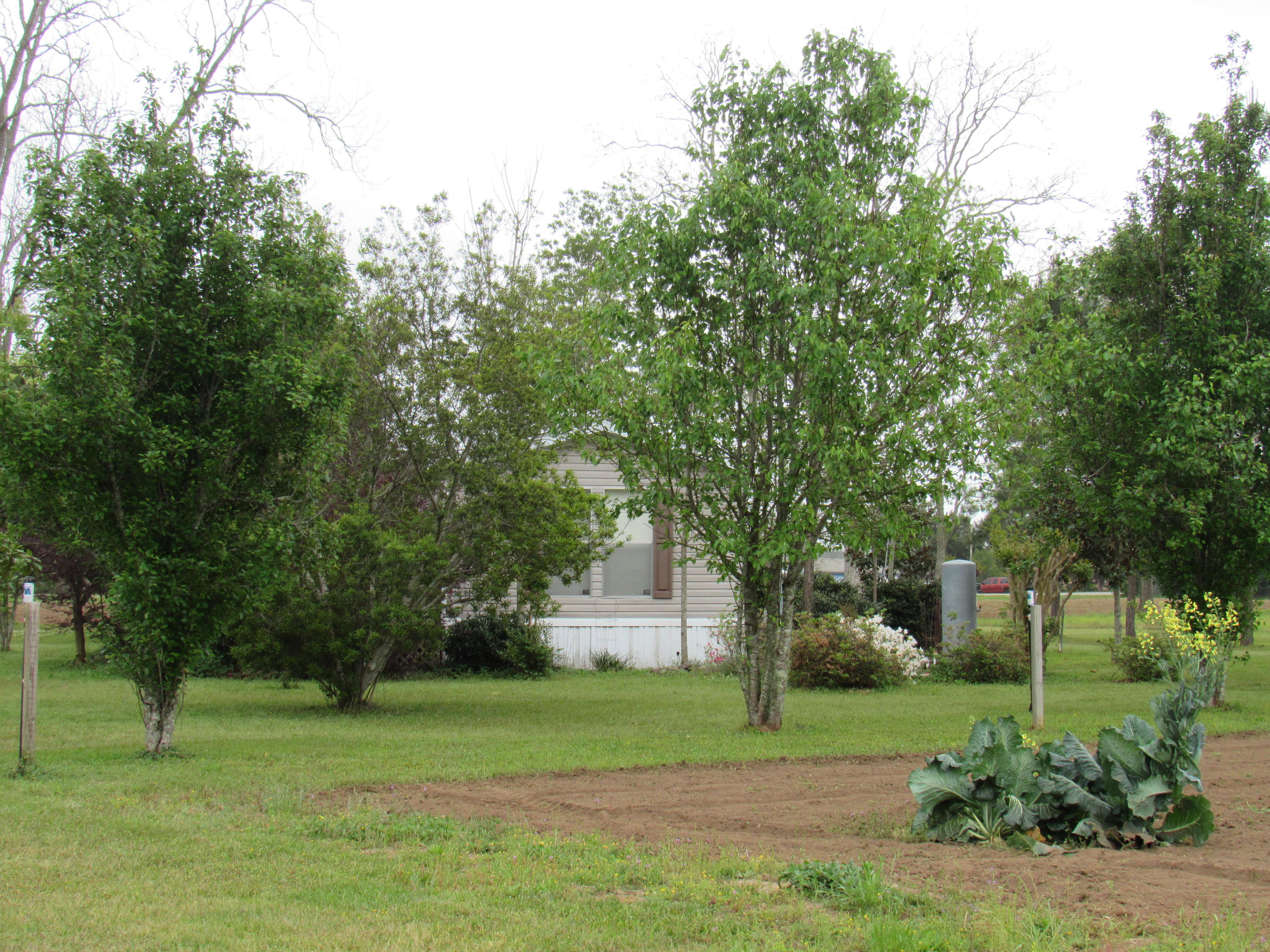 D.E. Murphy Addition of Town Plat of Glendale - Residential