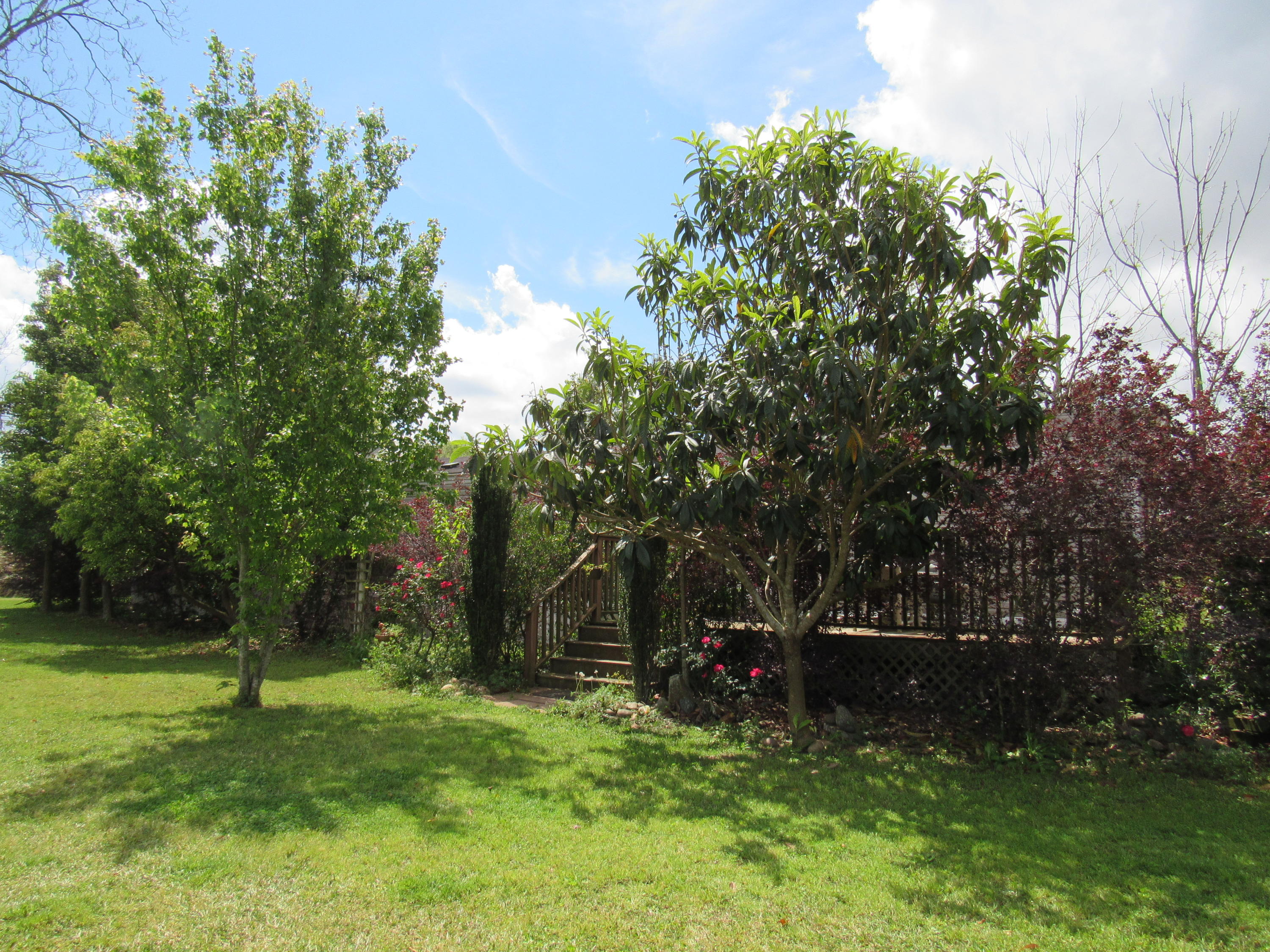 D.E. Murphy Addition of Town Plat of Glendale - Residential