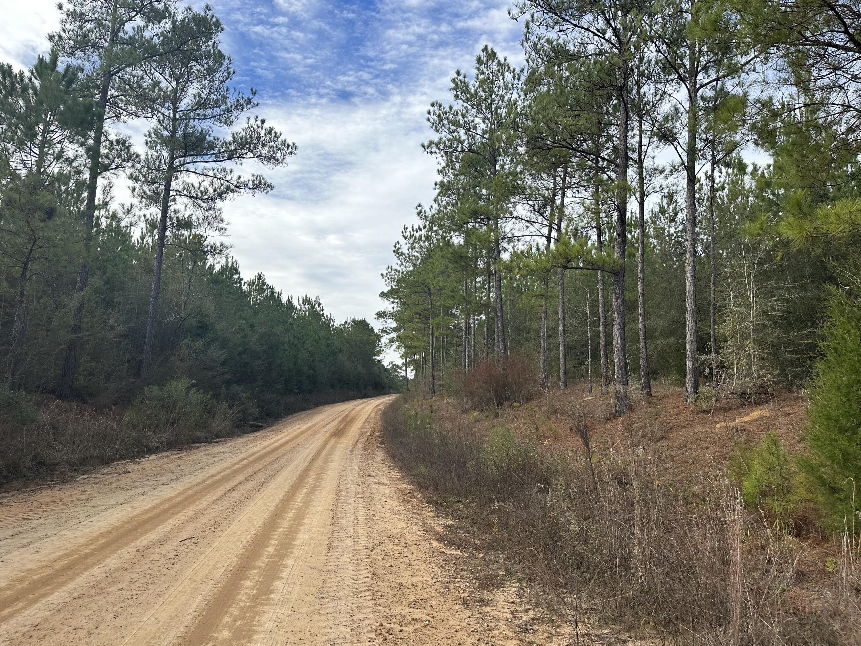 Dream Location for Country Living or Hunters Paradise either way you won't want to miss this opportunity! This Beautiful 46.99 +/- Acres of prime land has so much to offer. Whitewater Branch flows beautifully through. Bring your build plans, hunting gear, Horses, and ATVS LOCATION LOCATION!!!! This Property has Easy Access to Hwy 179, Hwy 177, Hwy 2 and County rd 65. Take Love Rd to the Florida/ Alabama State line or head to Panama City Beaches I-10, Hwy 79, Hwy 81, and Hwy 90.Additional land available