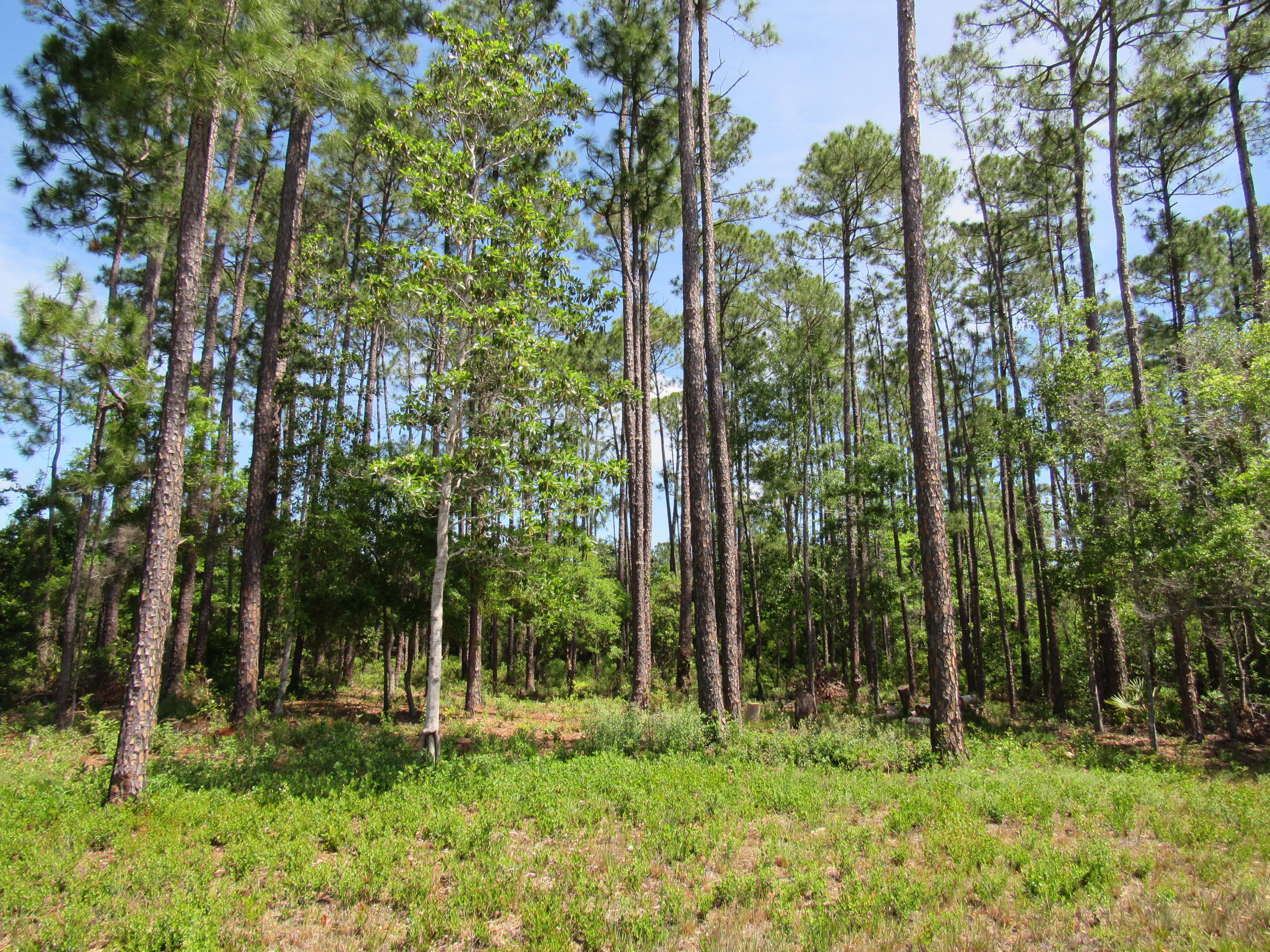 LAGRANGE SHORES - Land