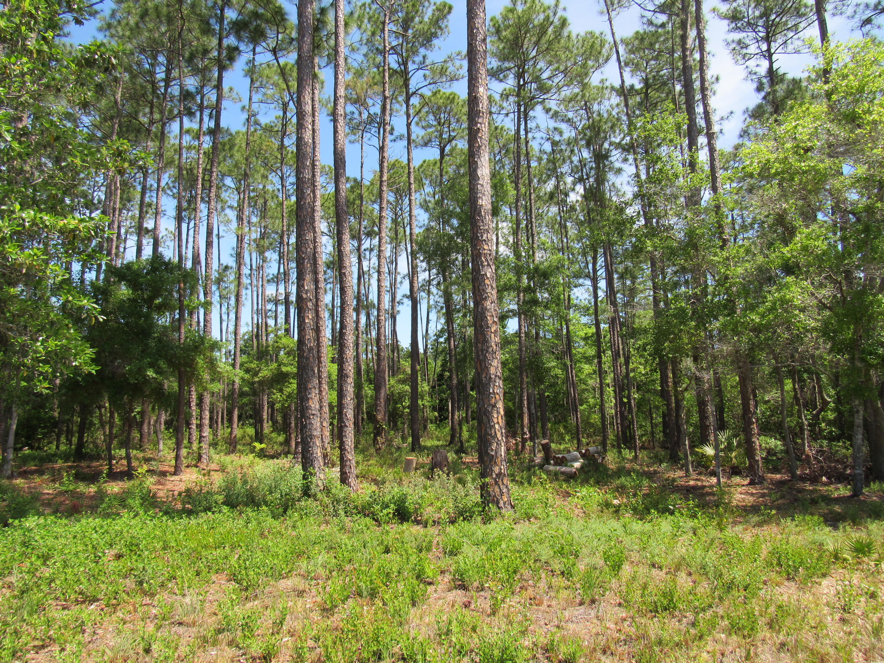 LAGRANGE SHORES - Land