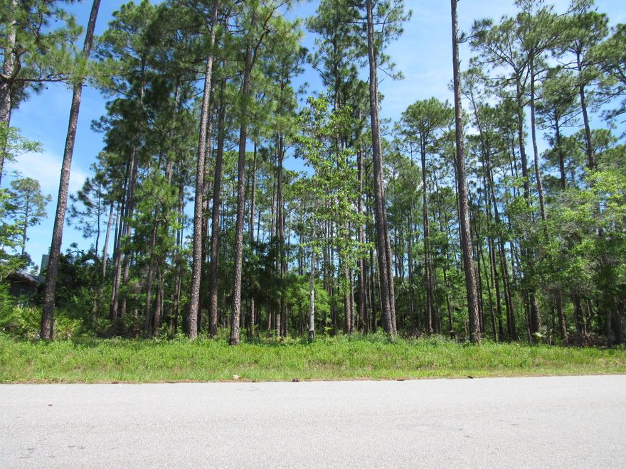 Great lot in Lagrange Shores! This lot is wooded and has city water and sewer available! This is a well established neighborhood and the lot is restricted. If you are looking to build, you must see this lot. With the lot being 1/2 acre, it is larger than other subdivisions in the area and there is room to spread out here! Don't miss out, call for your tour today!