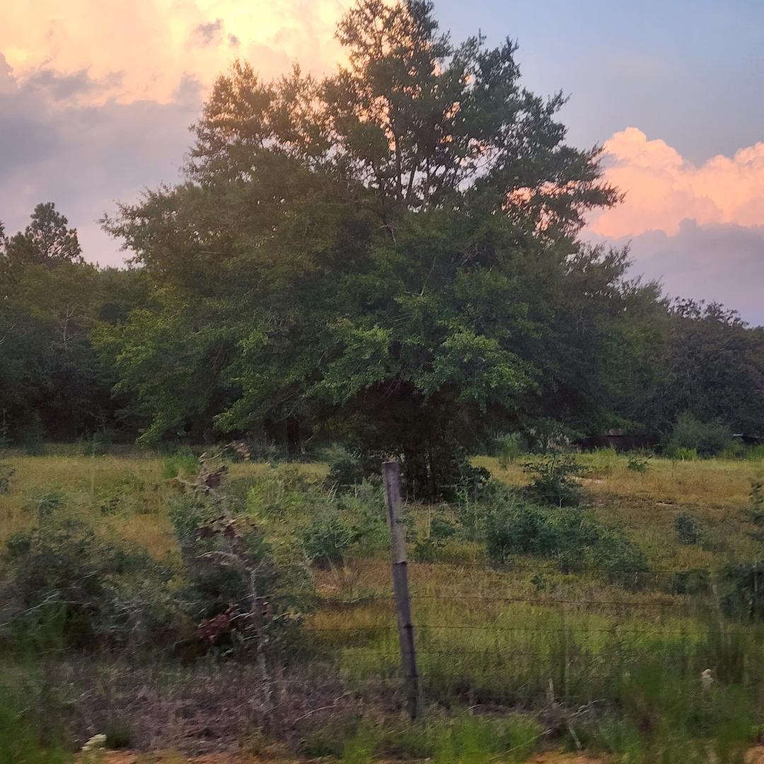 This is an amazing 4-acre tract located in North Walton County in the New Harmony Community. Located at the very end of Patch Road allows for tons of privacy and amazing views. Property has amazing large oaks, fruit trees, and is a beautiful piece of acreage. Property does include a nice barn. There is Mossy Head water and septic (no knowledge of septic sustainability) as well as power to the property. Property also includes an older mobile home with no value, a larger building in rear of property with no value and a double wide that would need removing due to damage. Please call LA with questions. Do not enter property without your agent present.