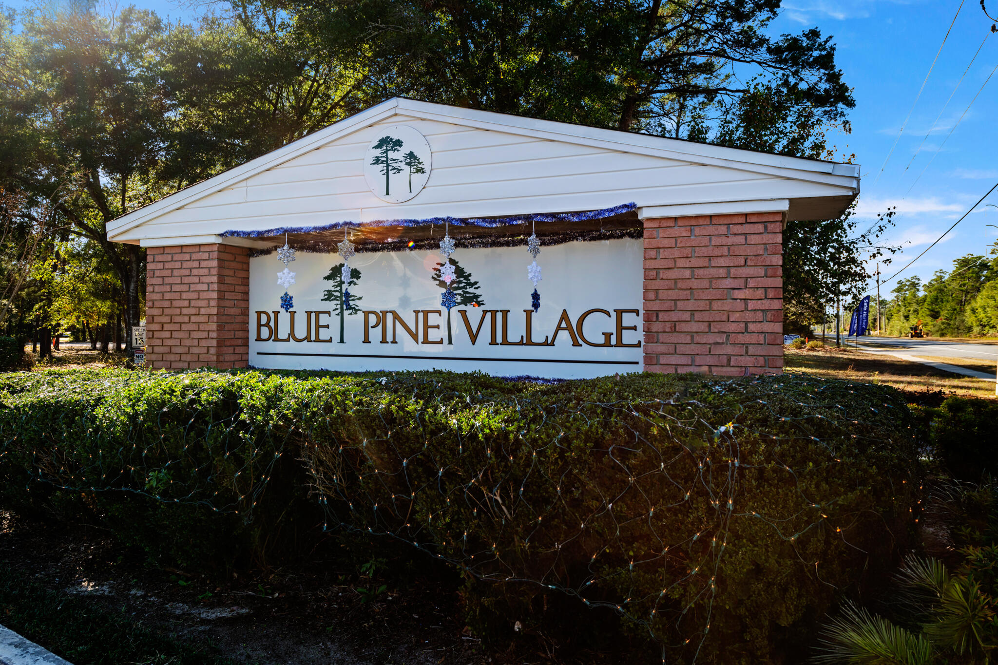BLUE PINE VILLAGE AMENDED - Residential