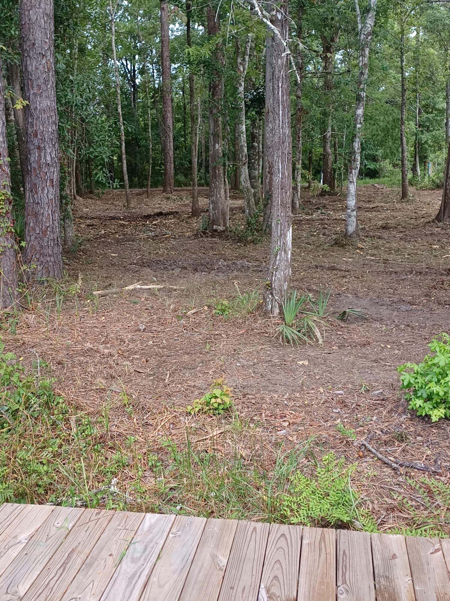 Portland Park Rd - Land