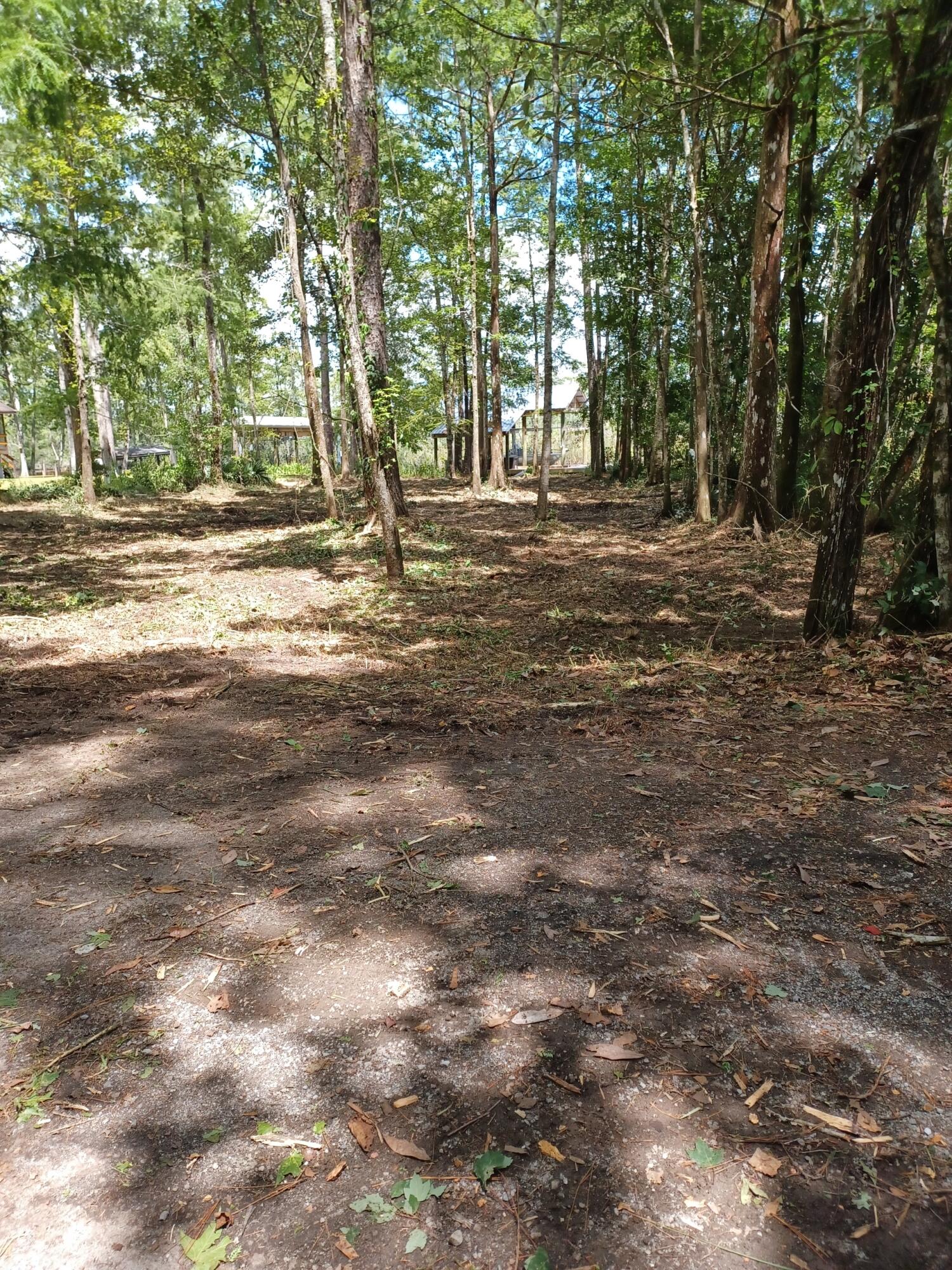 Portland Park Rd - Land