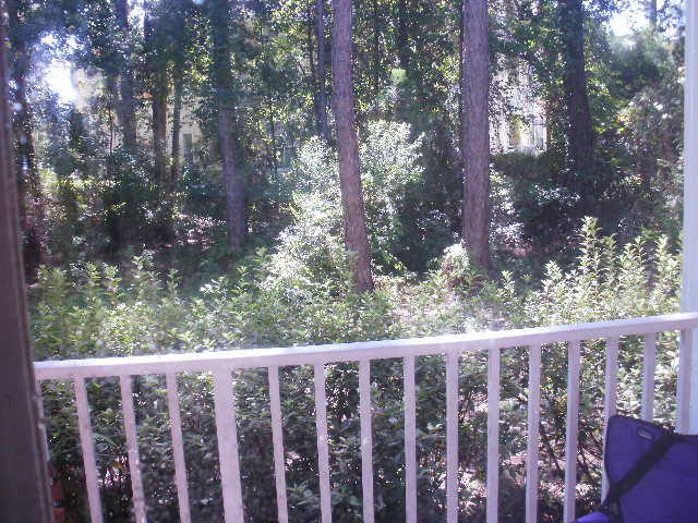 POINTE OF VIEW CONDO - Residential