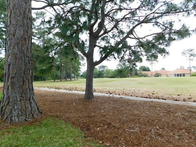 SOUTHWINDS II - Residential