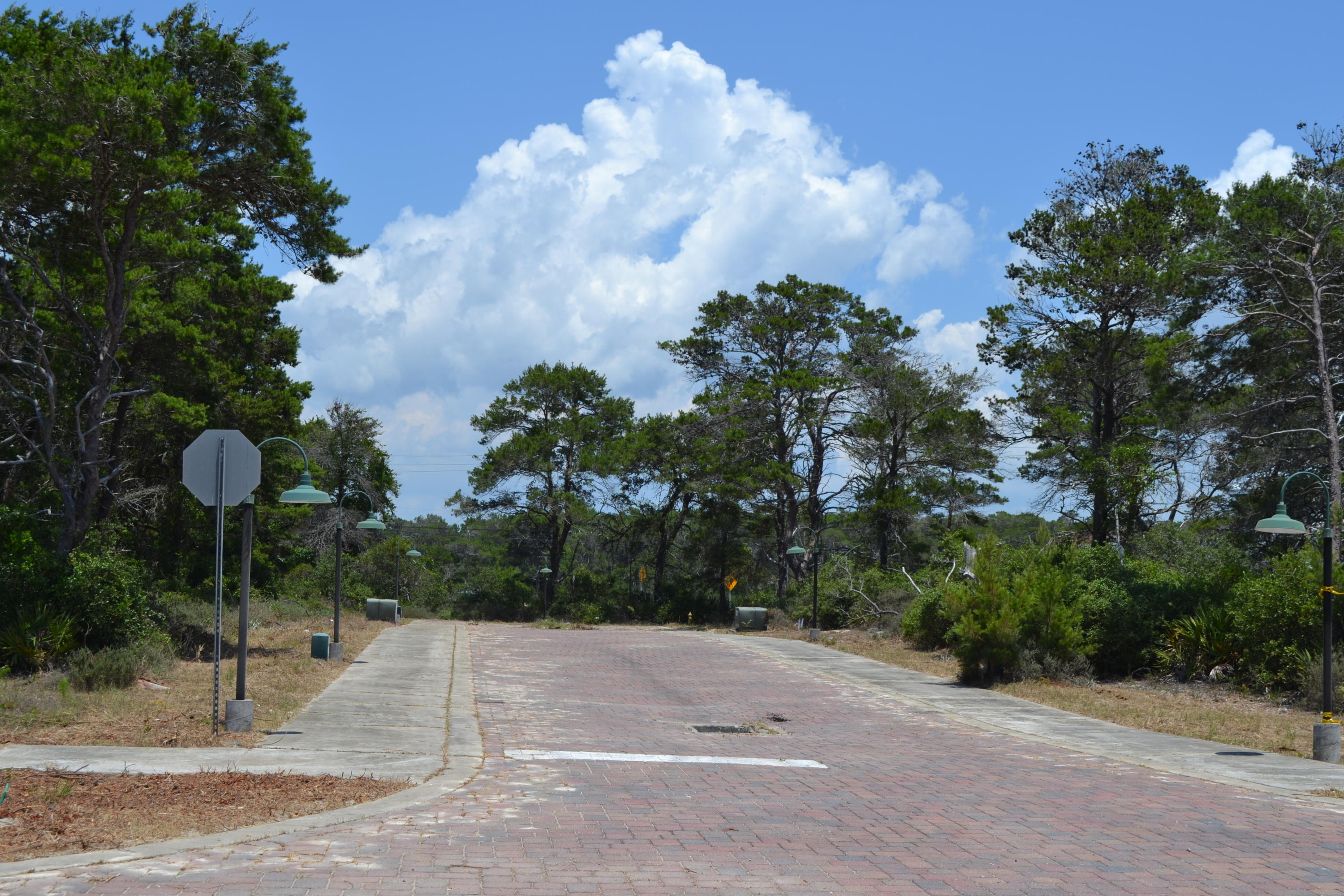 Grove at Inlet Beach - Land