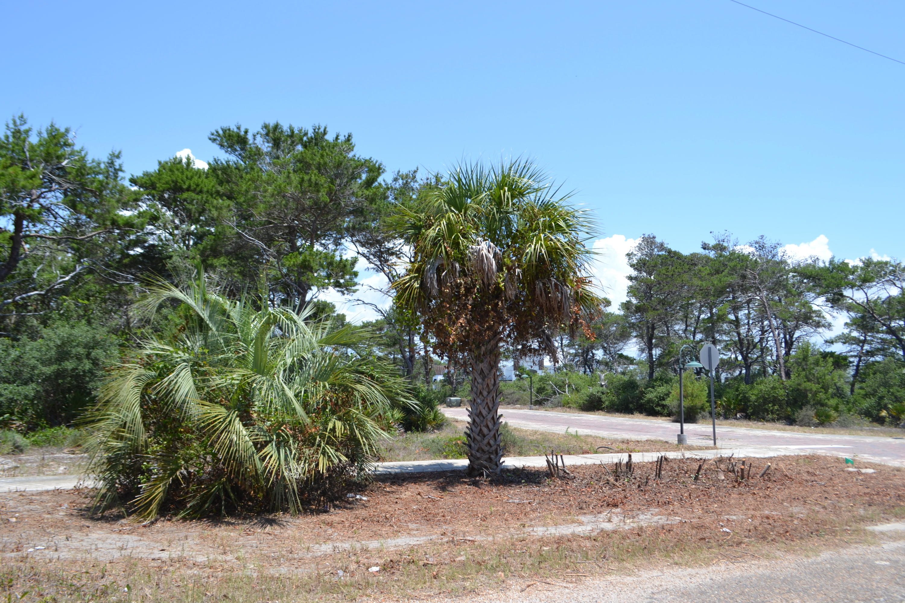 Grove at Inlet Beach - Land