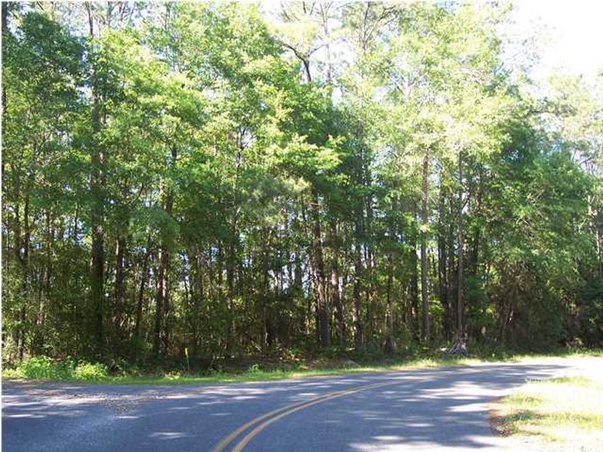 31 acres of partially-wooded property located one mile from Walmart, 2 miles from Interstate 10 and 35 minutes from South Walton Beaches and six State Parks. Because of the location, this is a prime piece of property for anyone looking to build a subdivision. (You will need to have the land-use changed). The front of the property abuts the city limits. Present land-use is general agriculture (allows livestock) and will allow one homesite per 10 acres. This is also a great location for a home to be built. There is a lot of wildlife, especially deer. Perfect location for anyone who has an RV and travels. You can be on the interstate going east or west in less than 10 minutes after leaving your home.
